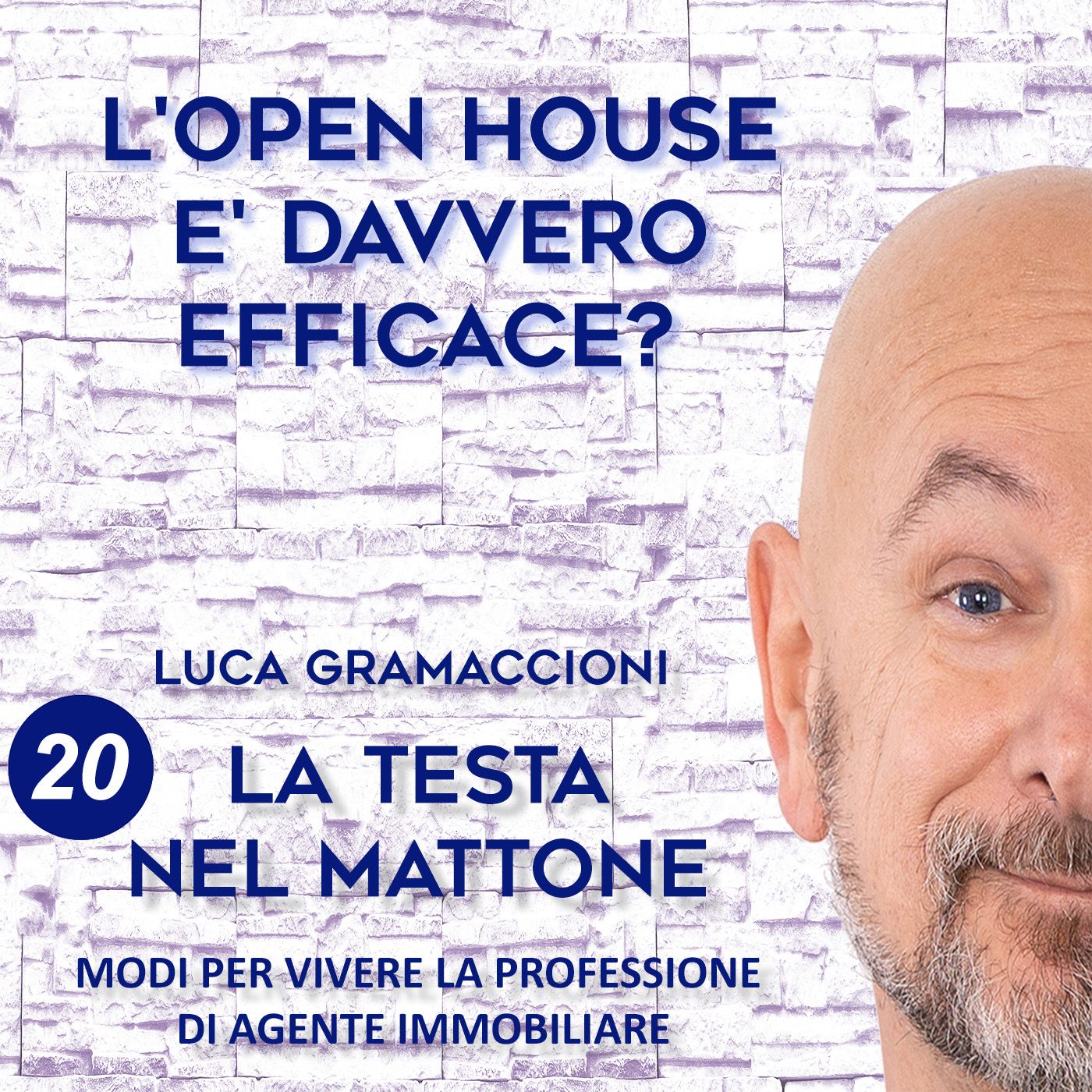 LA TESTA NEL MATTONE