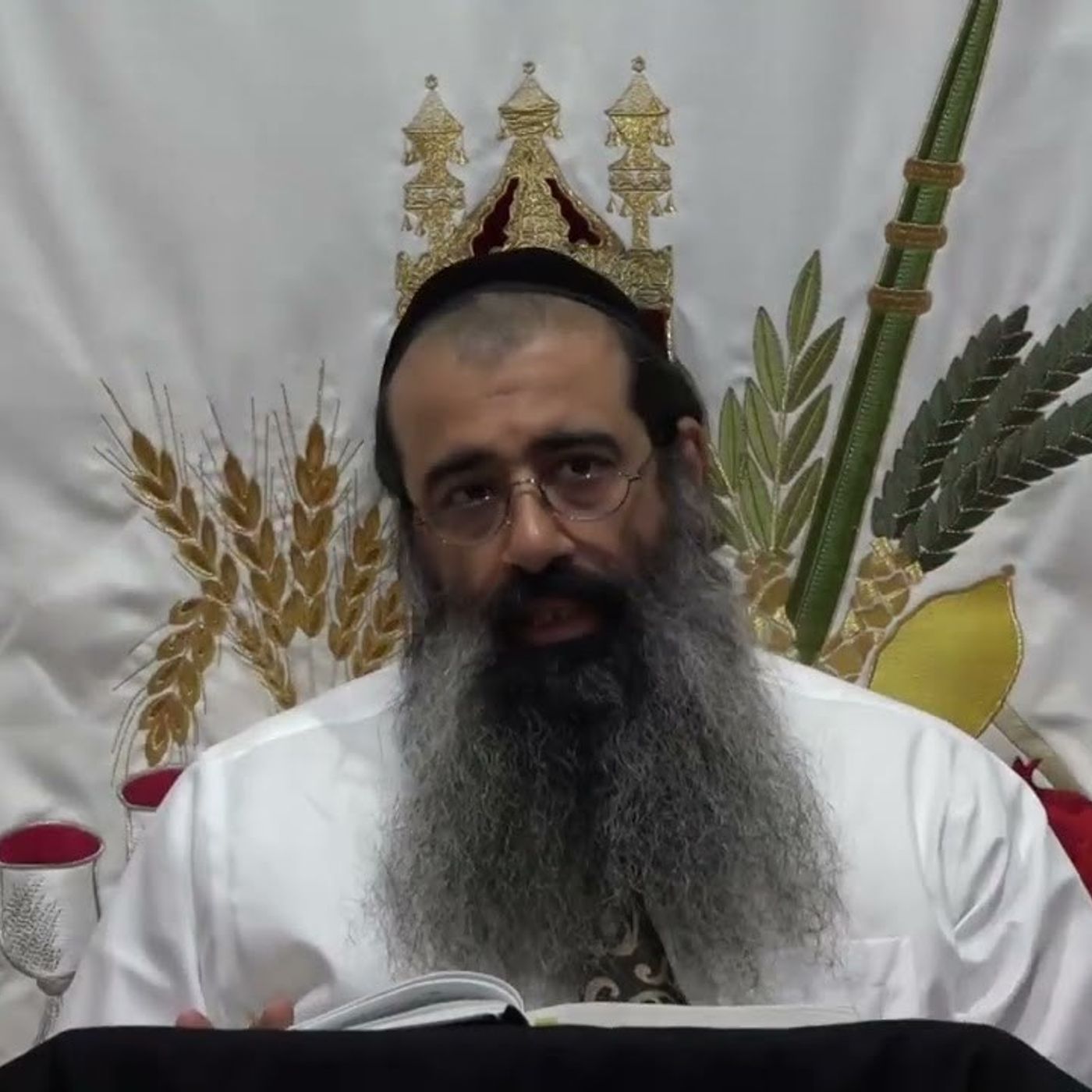 הזדככות הכלים היא סוד העליה - שיעור 17 | כוונת ה' אחד | אליו ולא למידותיו | הרב מאיר מועלם episode artwork