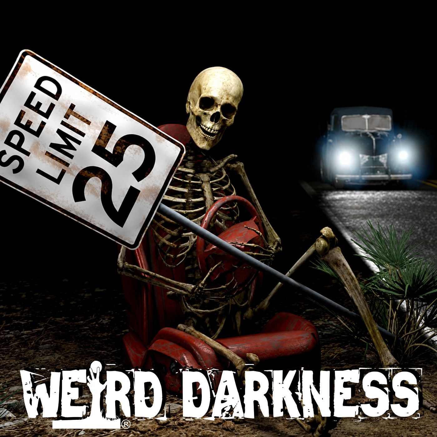 DON’T STOP THE CAR: Haunted Highways, Cursed Curves, and Phantom Hitchhikers