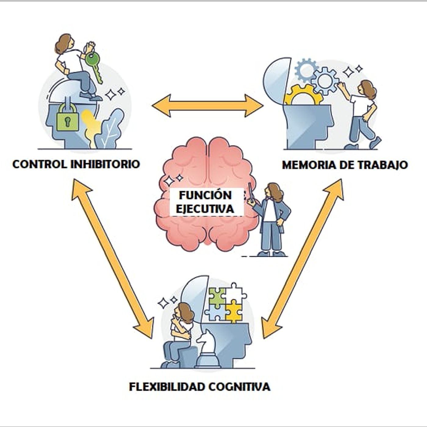 Funciones ejecutivas y el cerebro social