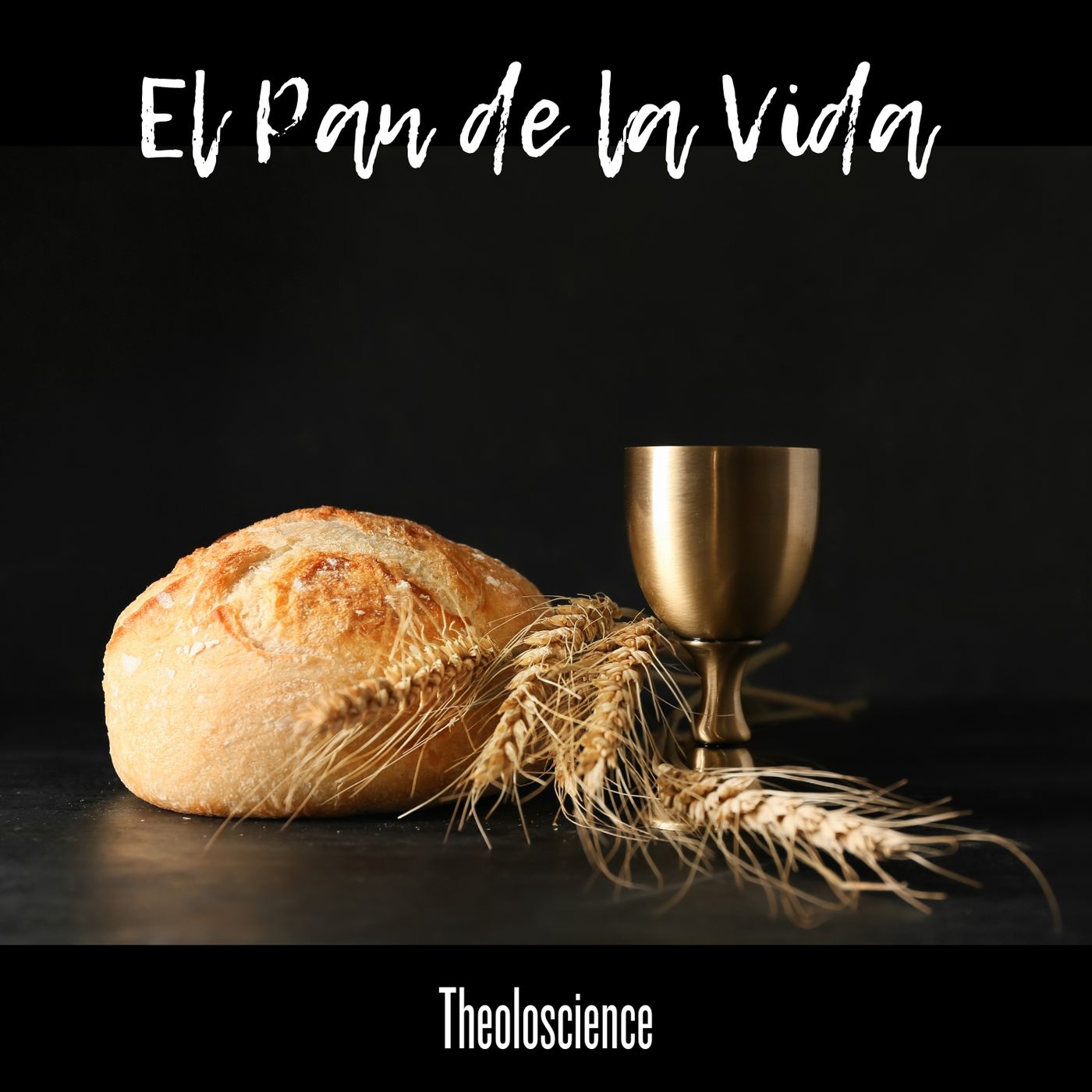 Theoloscience