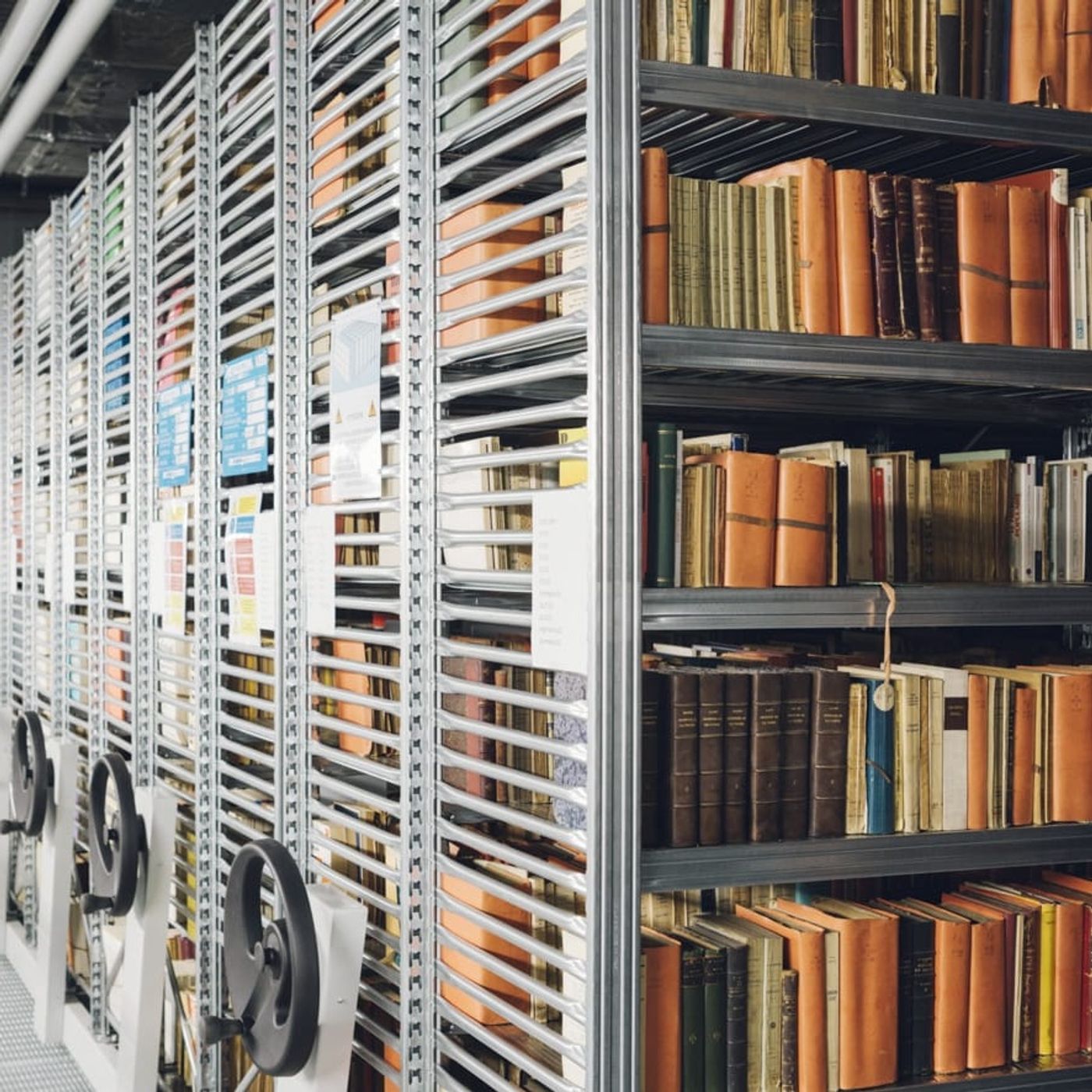 Archivio Scalcerle