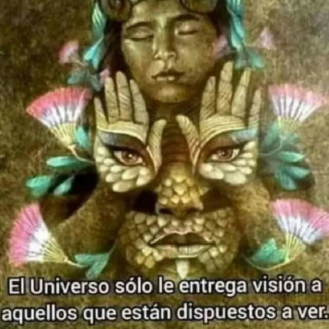 Saseth Acuario