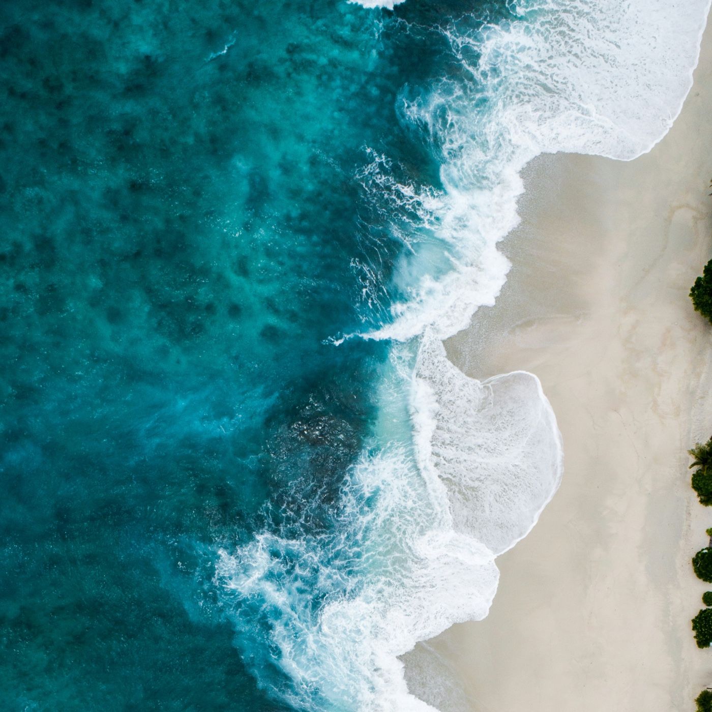 Las Sirenas:¿mito o realidad?