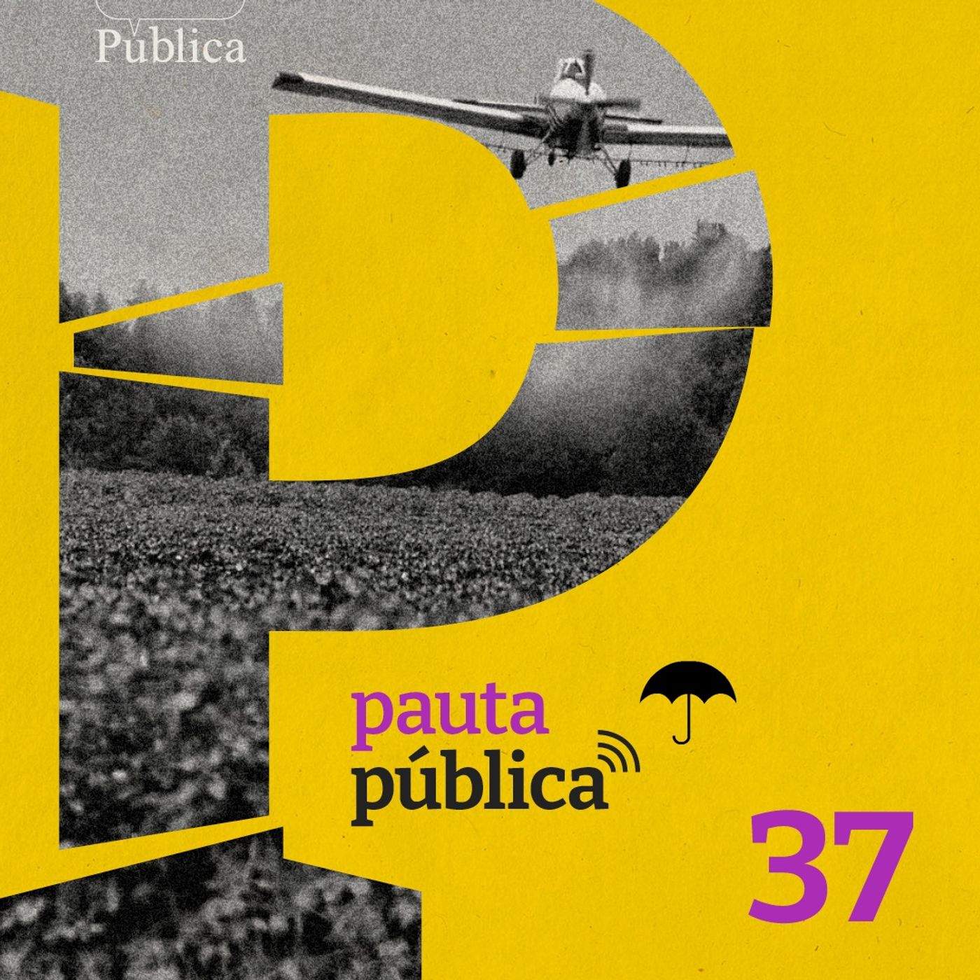 Pauta Pública