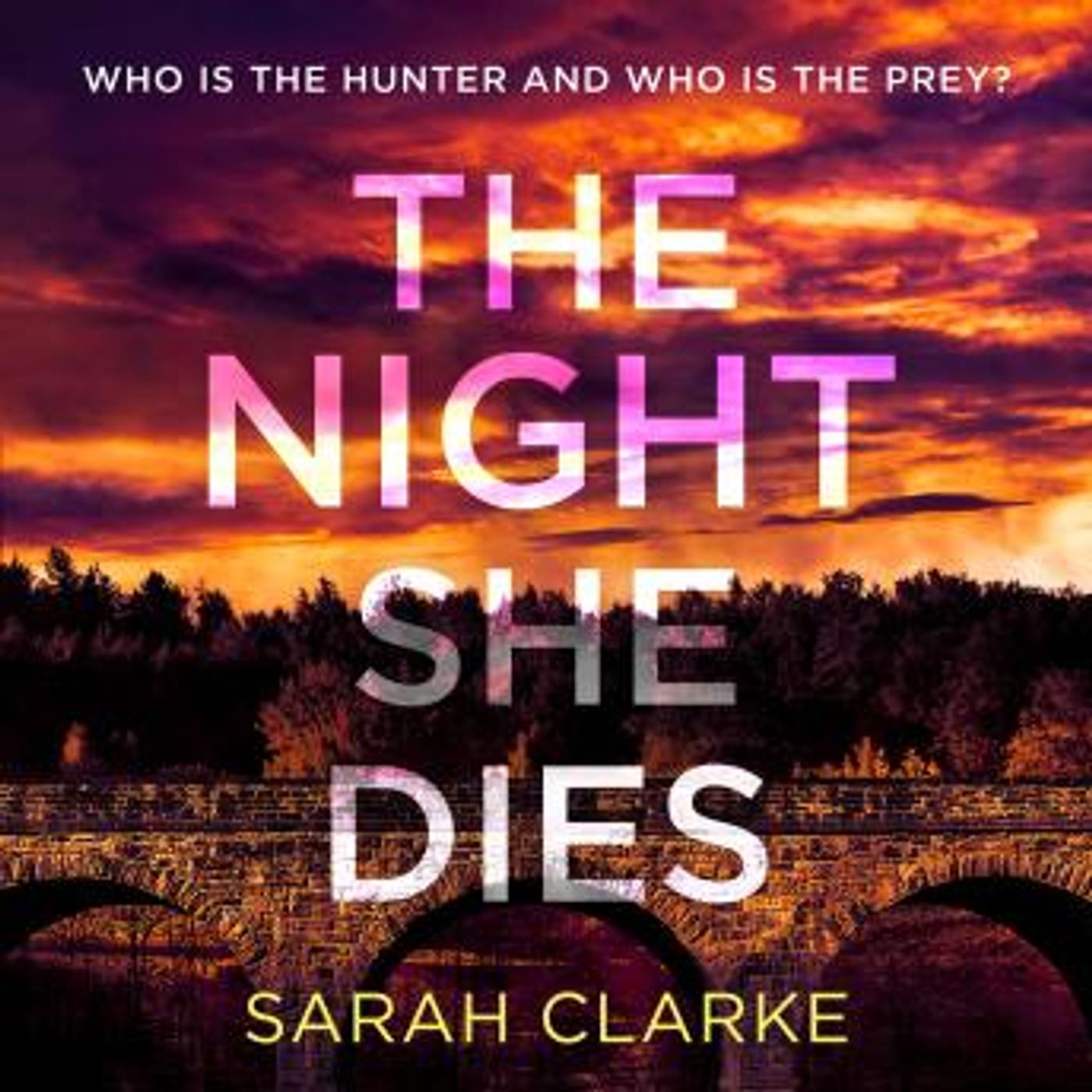 Access Essential Audiobooks in Mystery, Thriller & Horror, Suspense