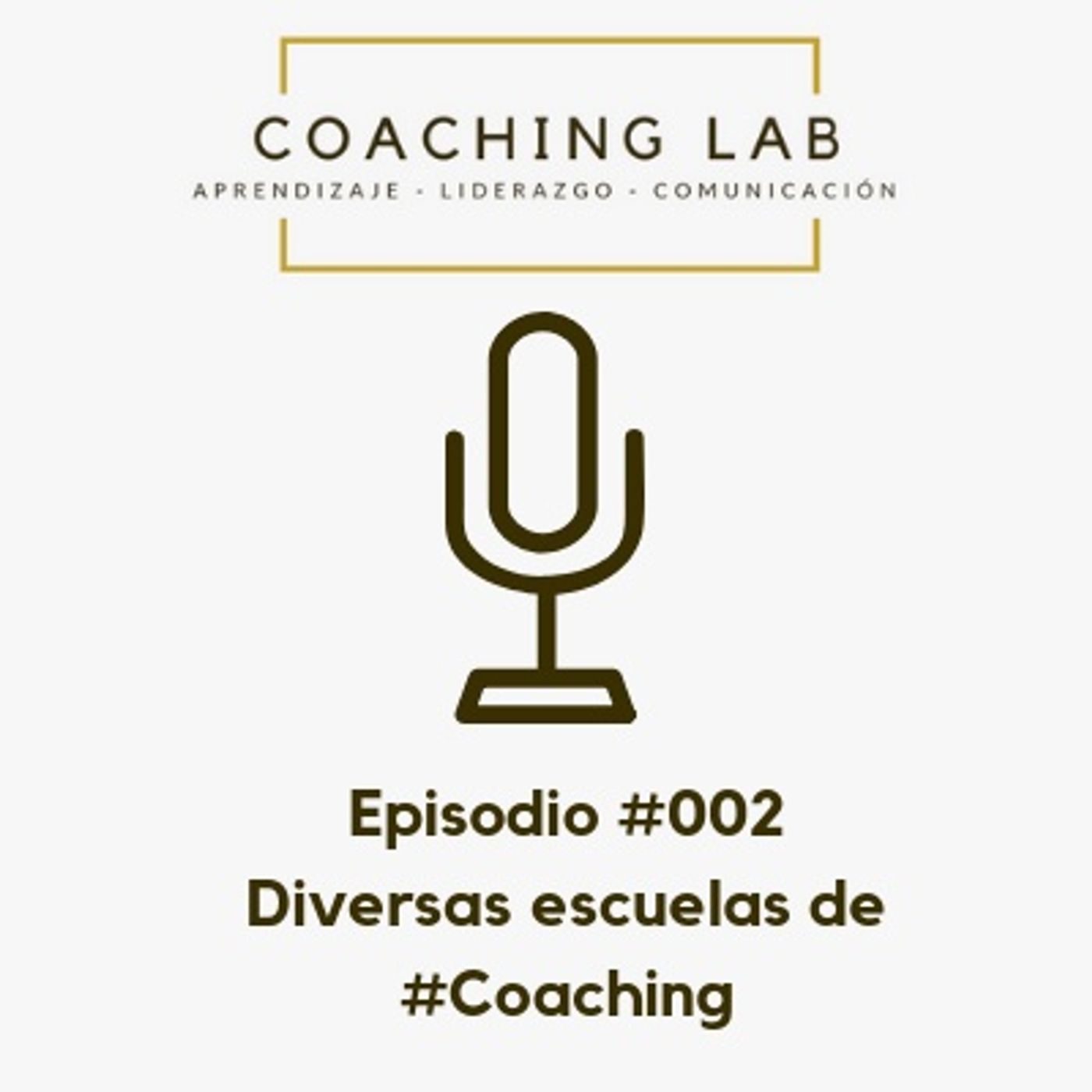 Coaching Lab
