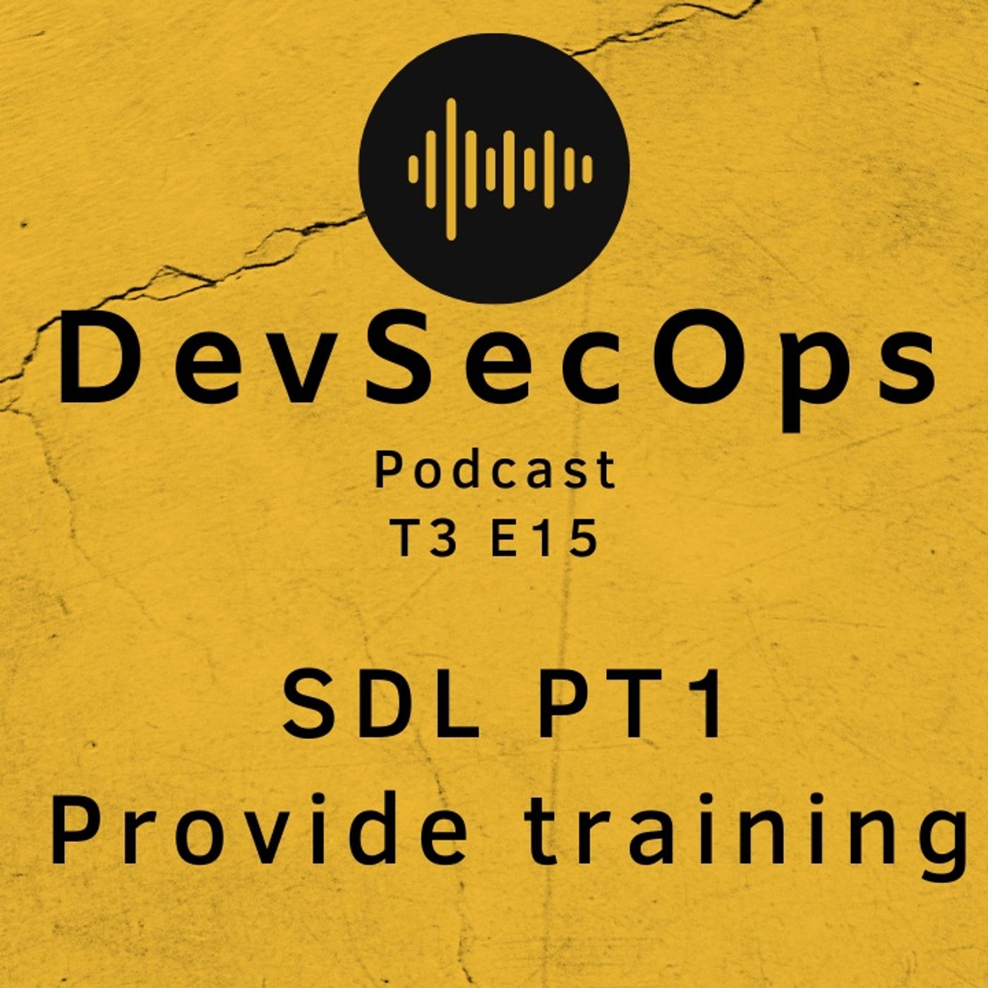 #15 - SDL PT1 - Provide training