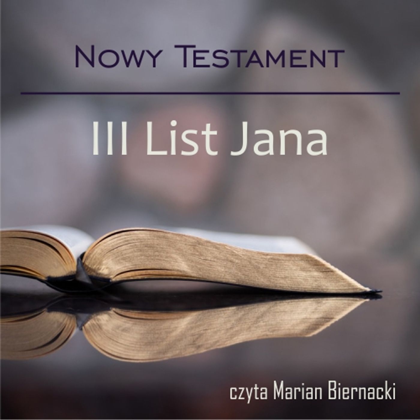 Biblia Audio Nowy Testament