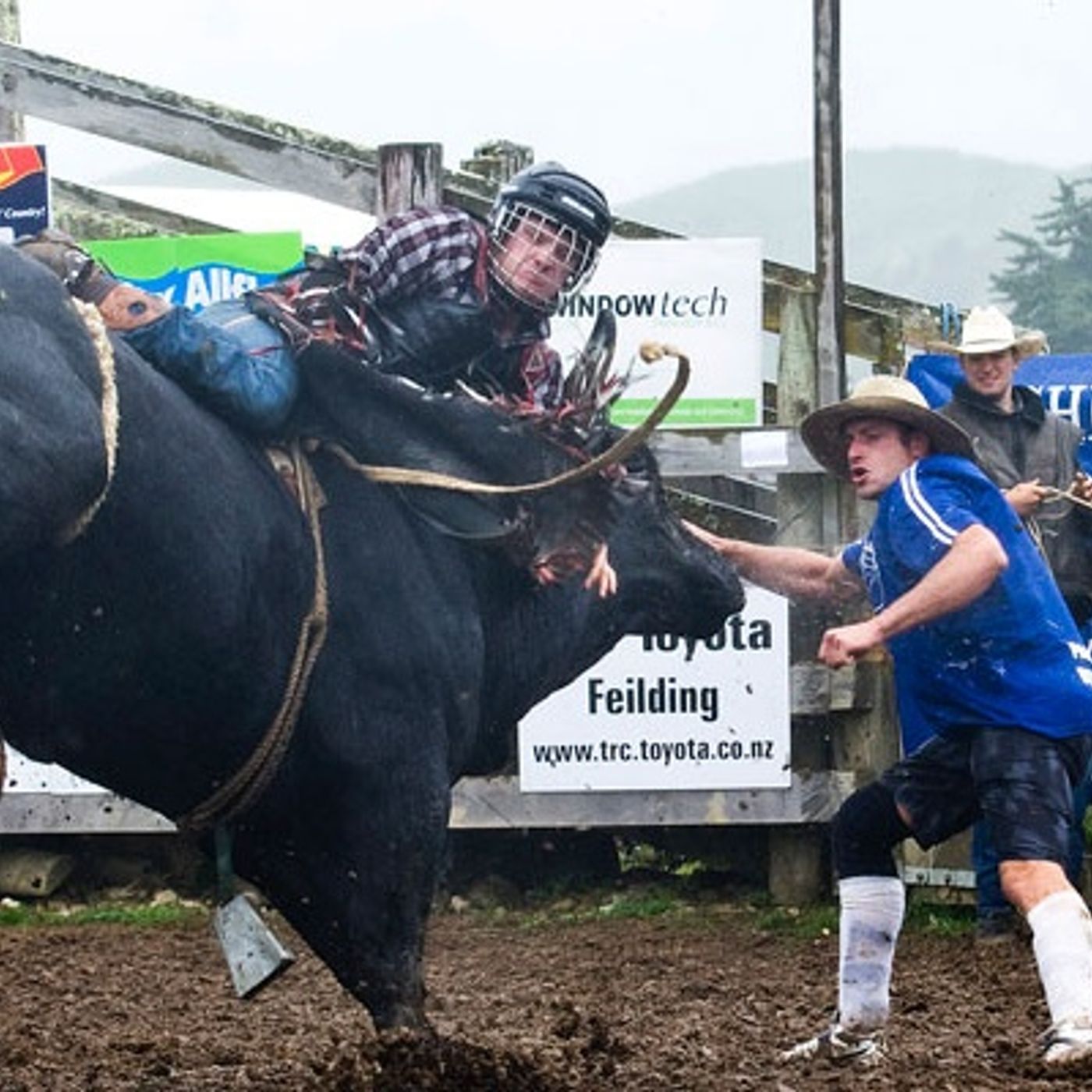 Interviews with Bull riders Shane Bird, Paddy Church and Roany-Lane Waru episode artwork