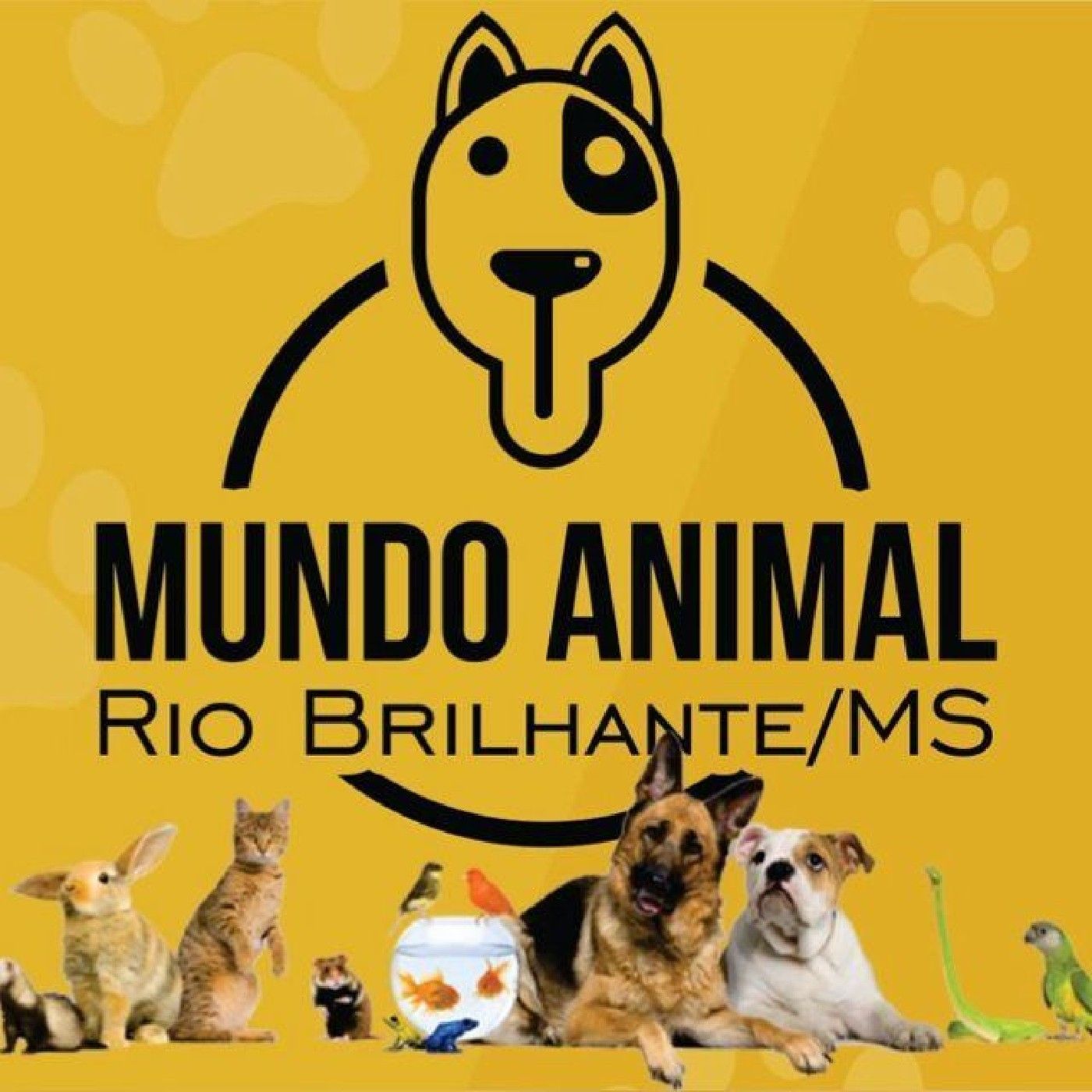 Mundo Animal Protetores AAMAR