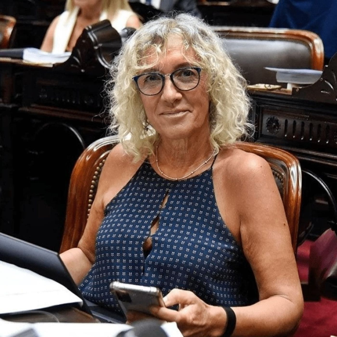 Mónica Frade @MonicaFradeok (Diputada Nacional por la Pcia. Bs As. Coalición Cívica, en JxC) Del Arco Político episode artwork