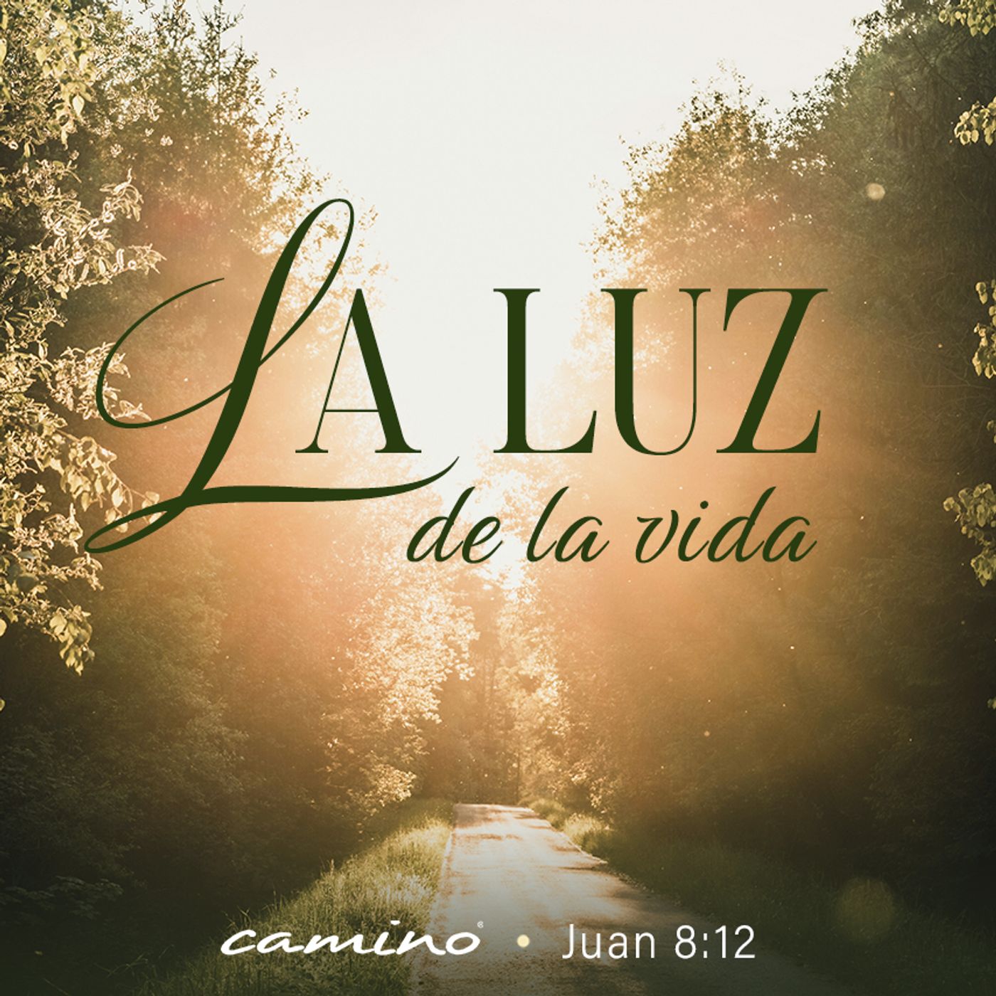 Oración 5 de febrero (La luz de la vida) episode artwork