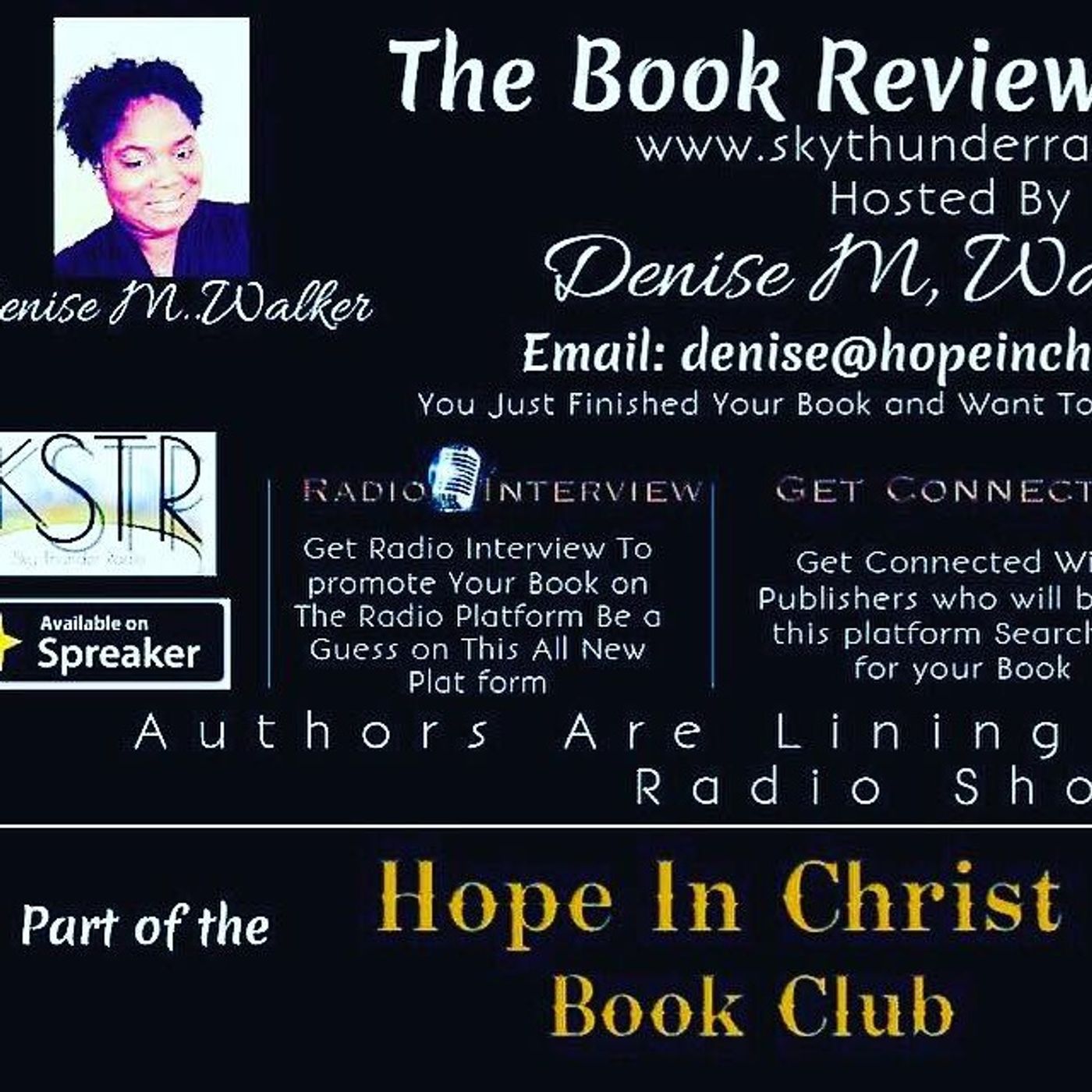 The Book Review Radio Show cover