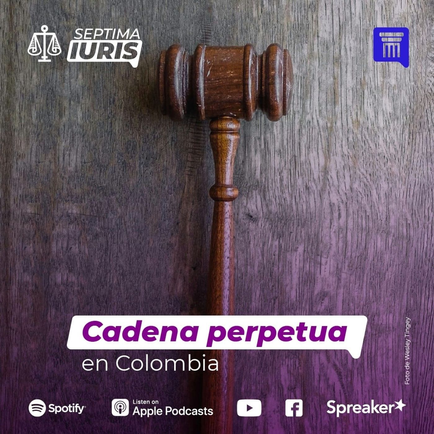 SEPTIMA IURIS-Informativo Jurídico