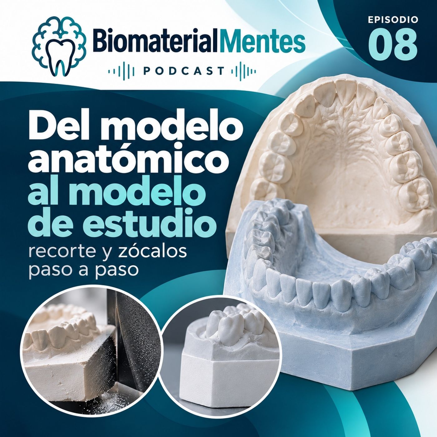 Portada de 🧠 BiomaterialMentes