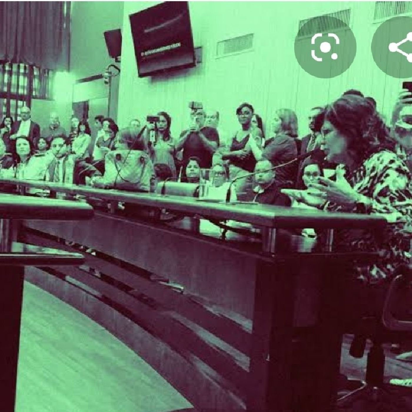 Nosso Direito Constitucional