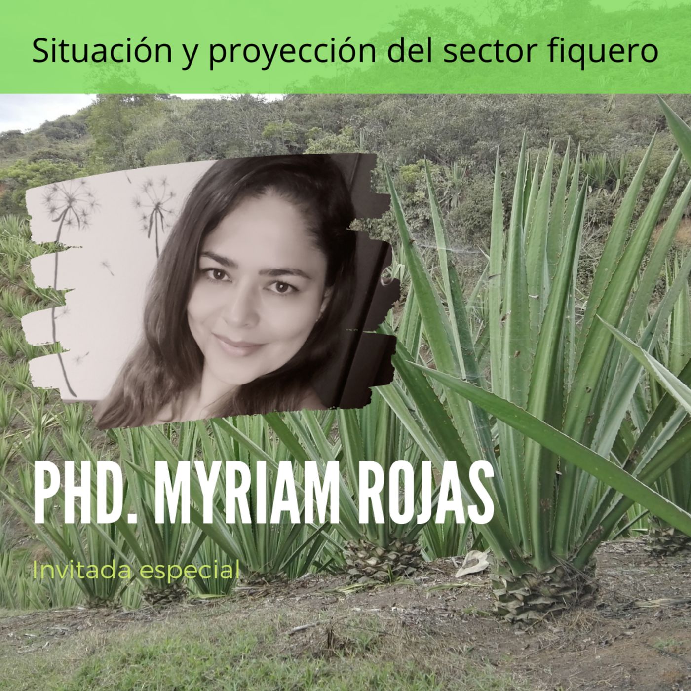 Situación y proyección del sector fiquero episode artwork