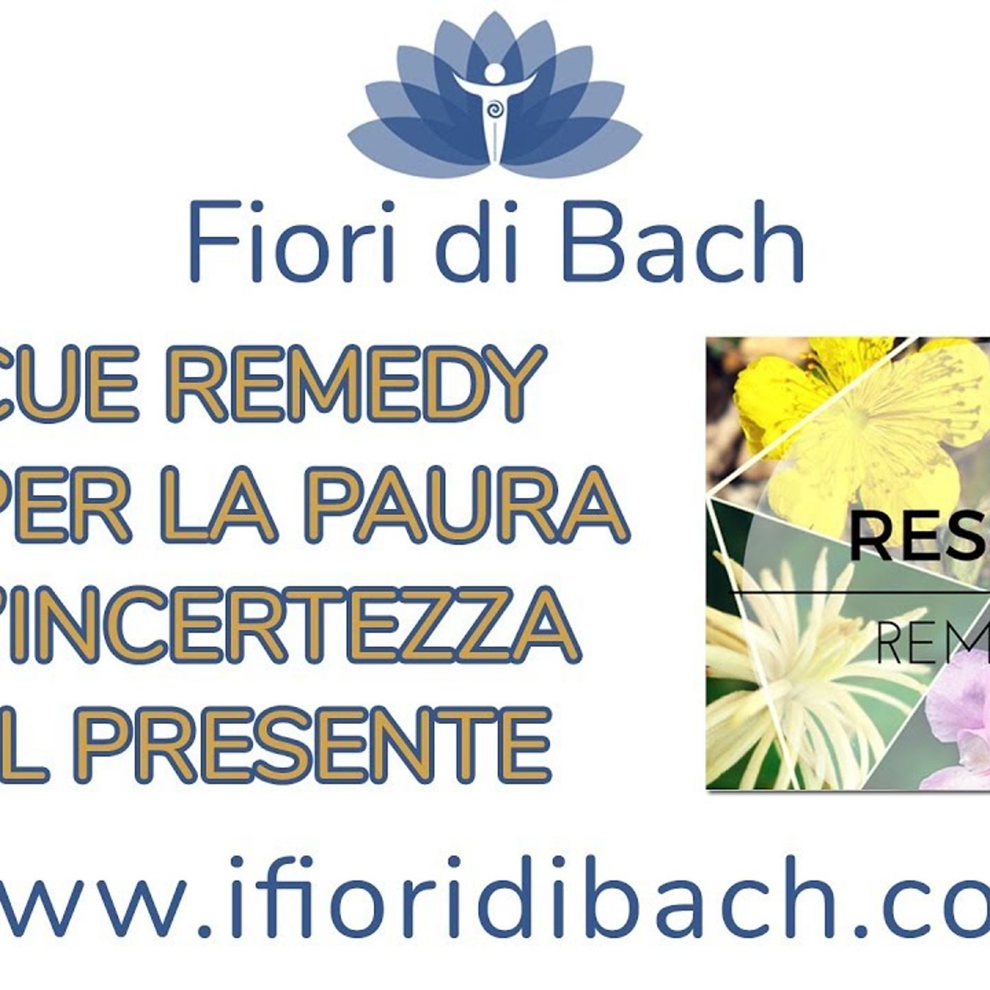Elenco Fiori di Bach parte prima episode artwork