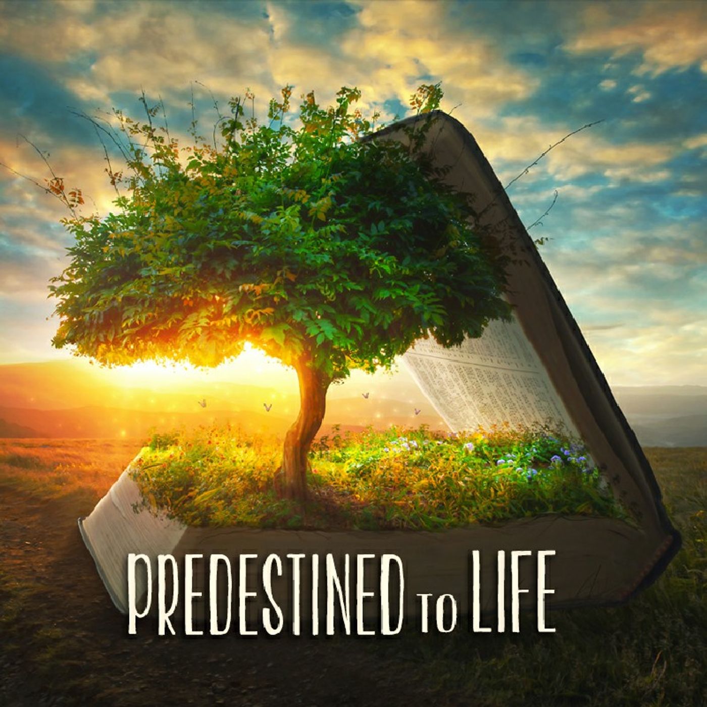 Predestined: A Biblical Perspective