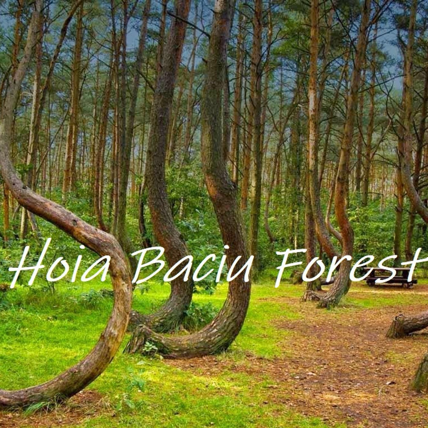 130:  Hoia Baciu Forest & Colonial Park Cemetery