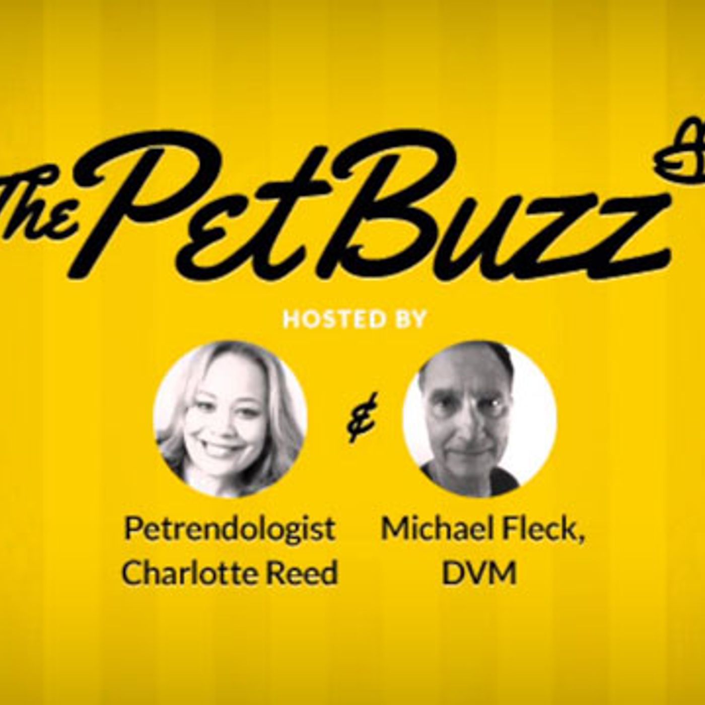 The Pet Buzz