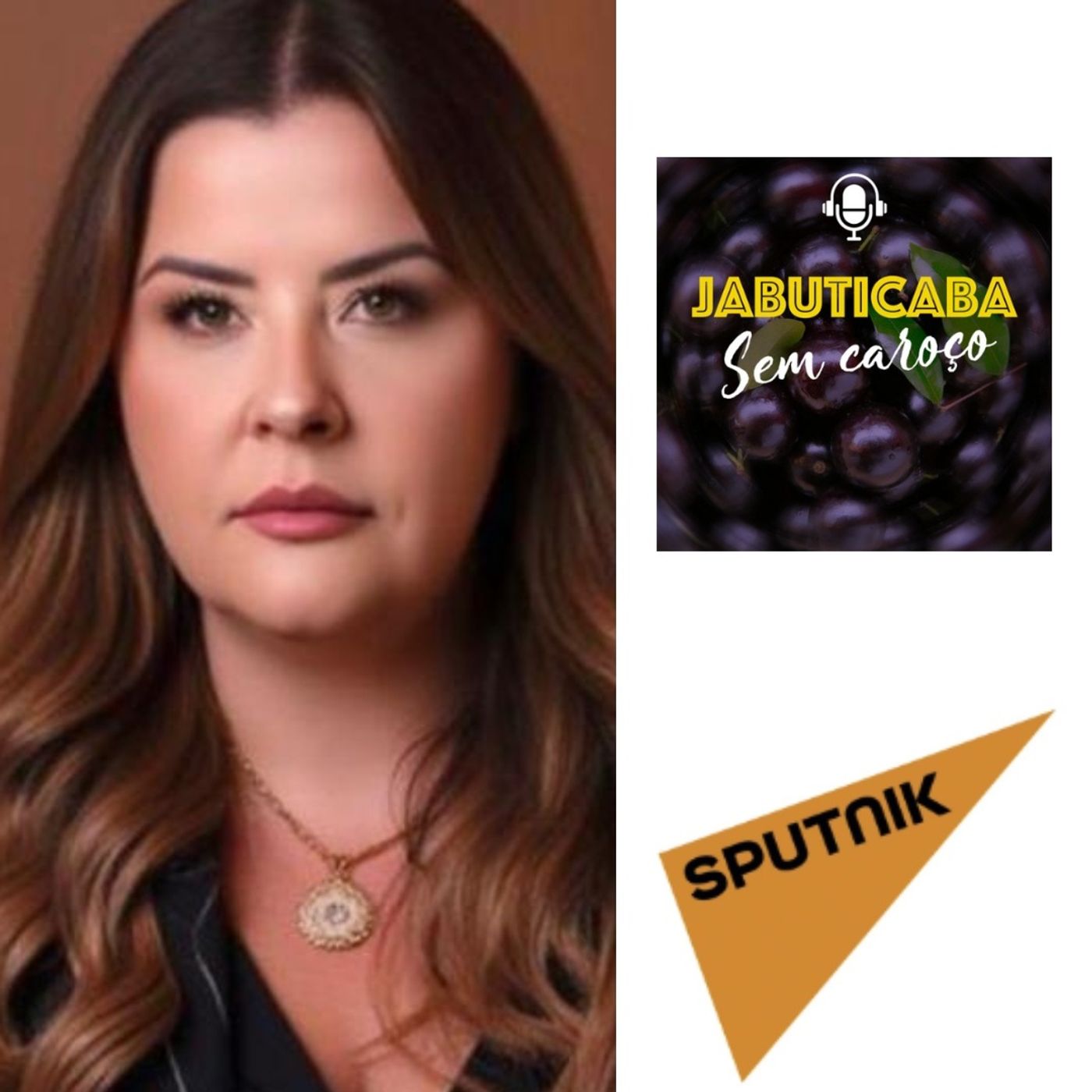 RÁDIO SPUTNIK BRASIL: LEI DO VICARICÍDIO episode artwork