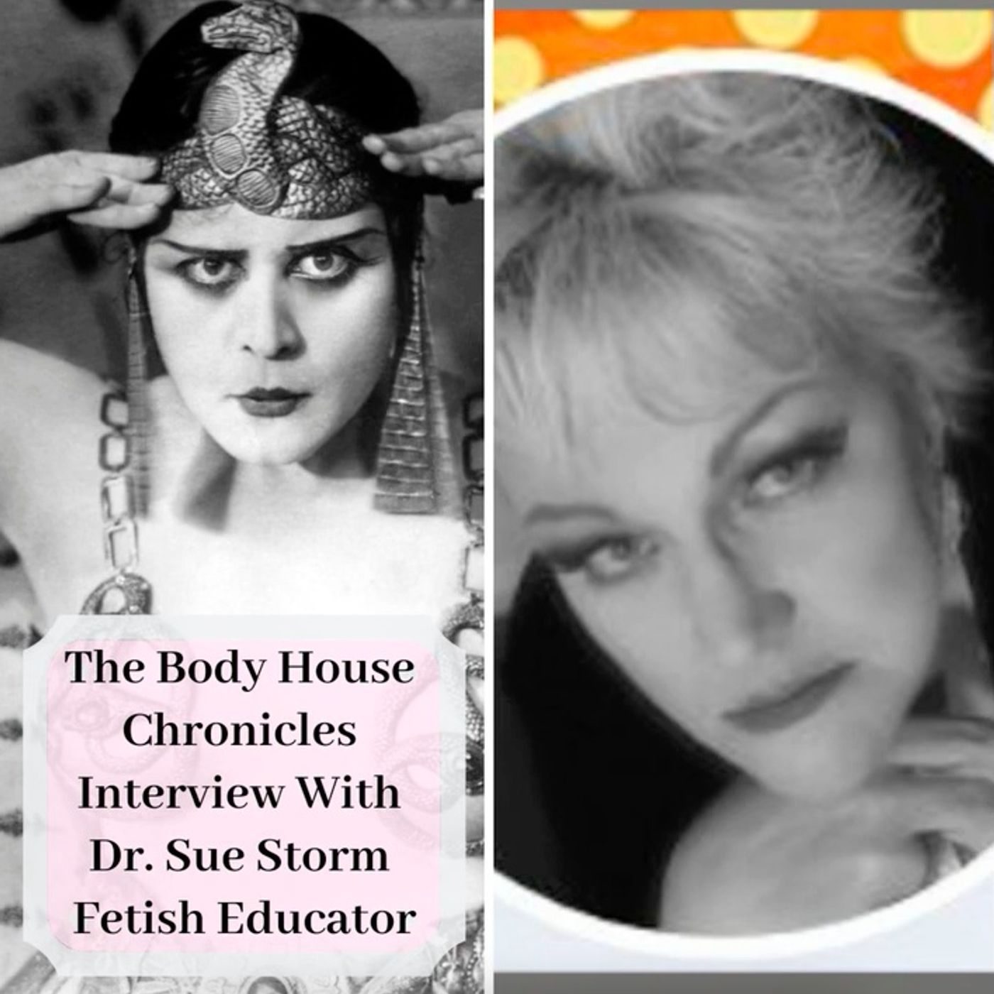 The Body House Chronicles