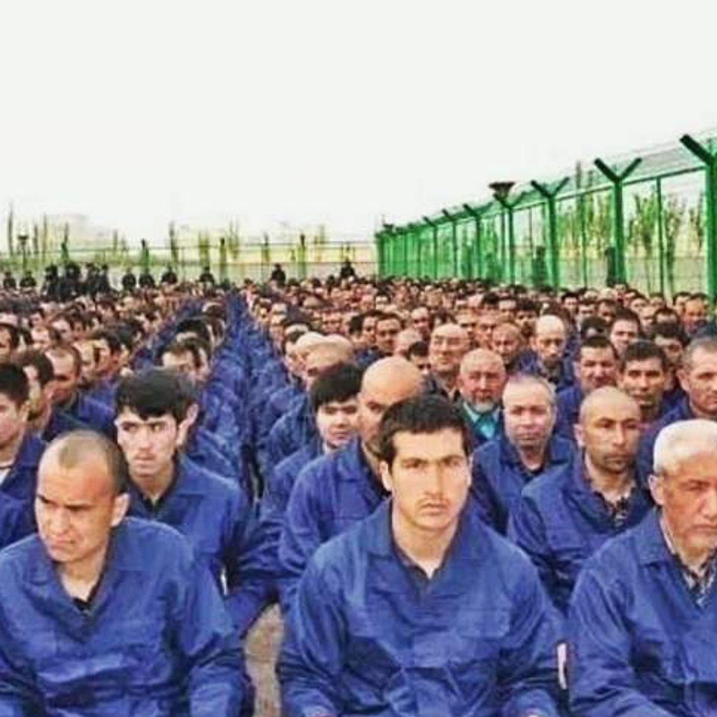 81. China's Attack on the Uighurs of Xinjiang