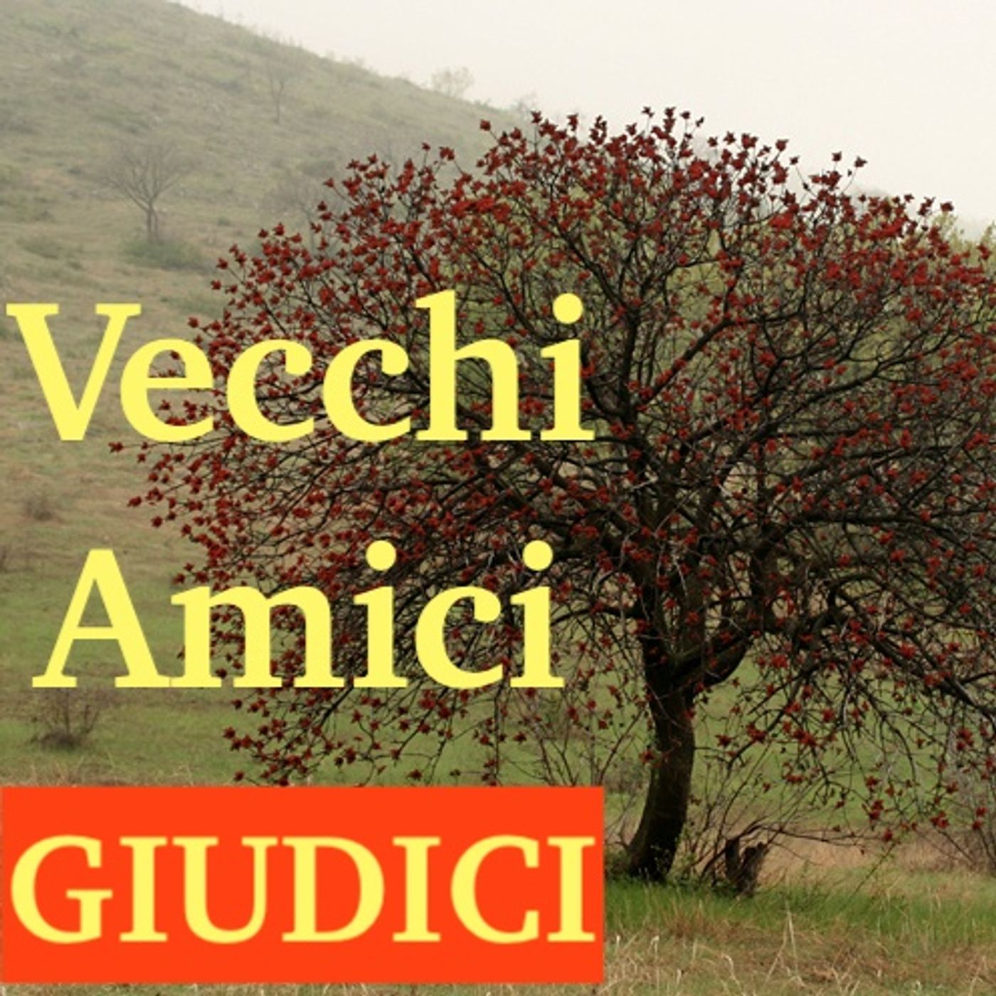 Vecchi Amici... Bibbia