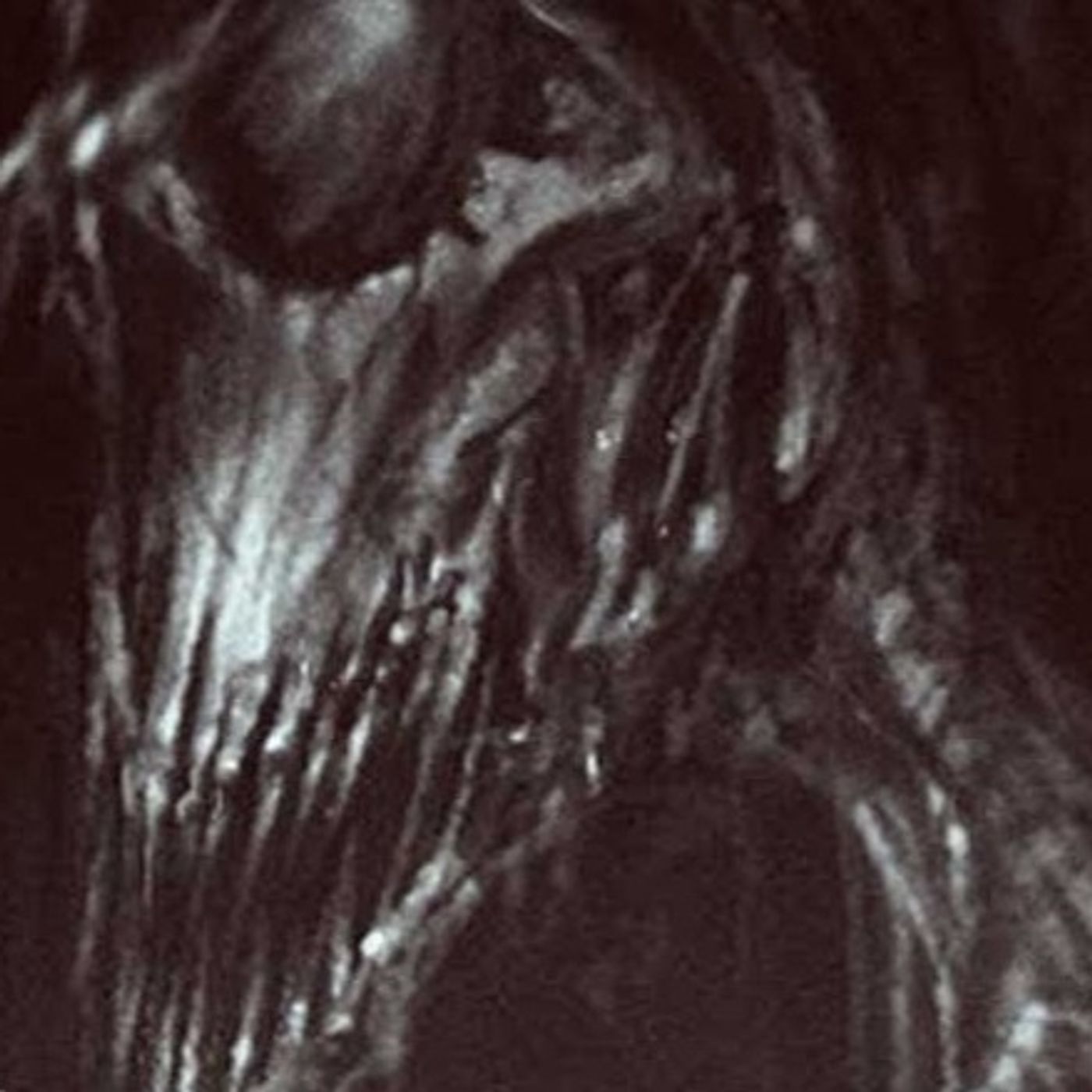 El Reptil En El Amazonas Historias De Terror - REDE