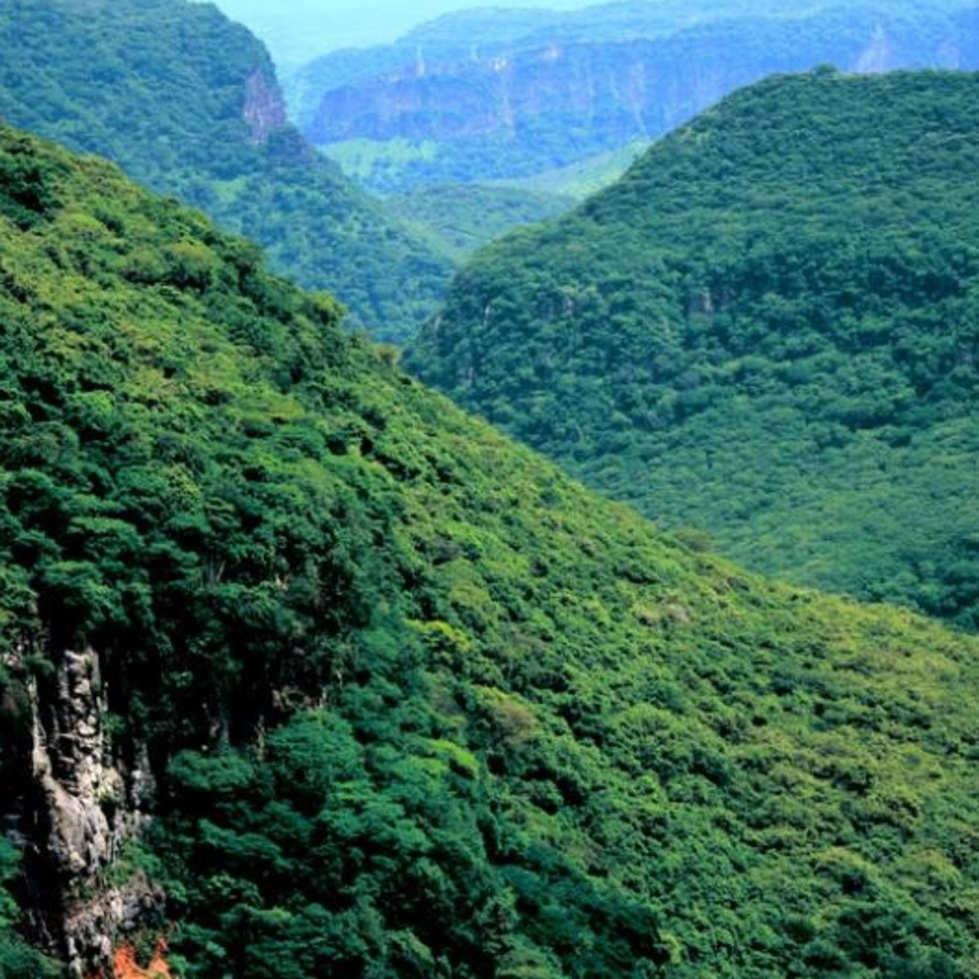 Historias de Miedo Agosto 4 2021 LOS SERES DE HUENTITÁN