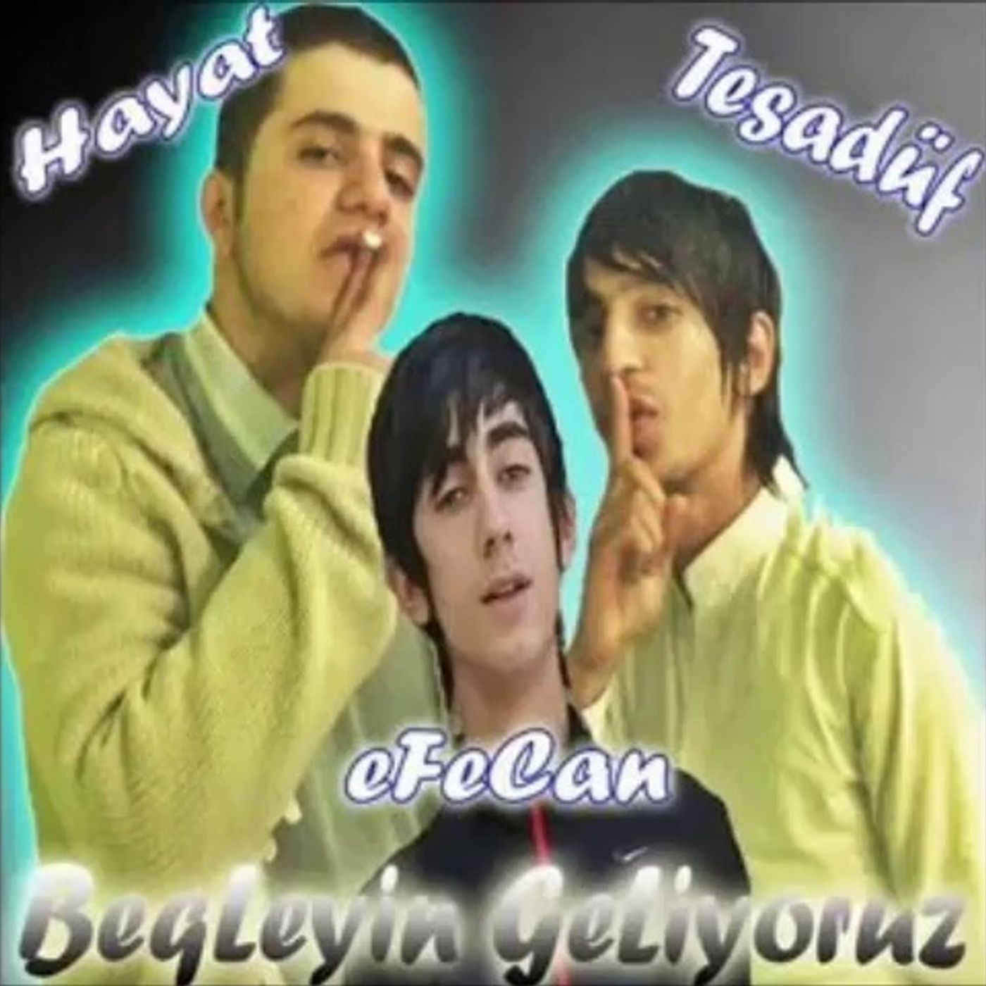 Allam bu çınar mı