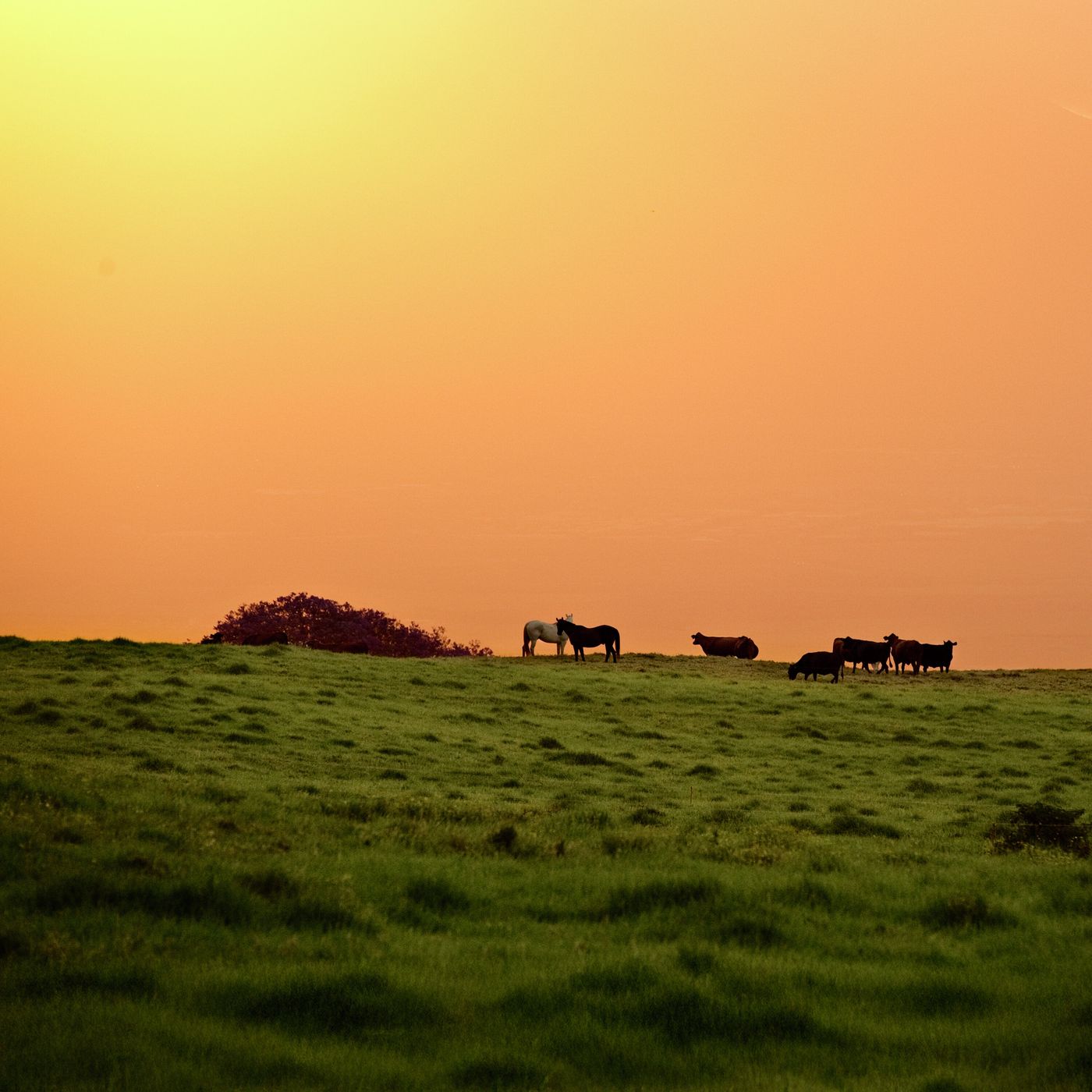 El arrepentimiento verdadero El arrepentimiento verdadero