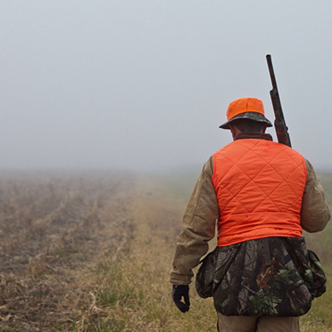 Idaho Voters Create Constitutional Right To Hunt, Fish, And Trap episode artwork