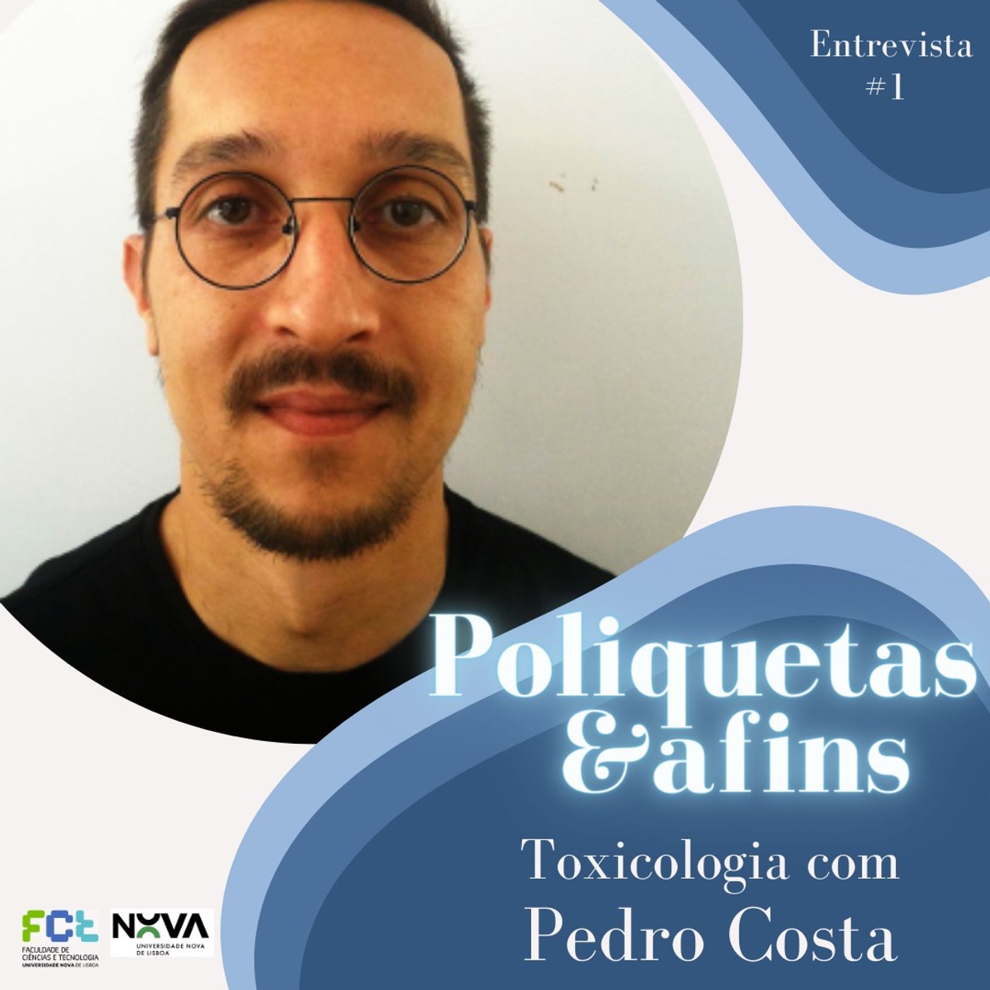 Poliquetas e afins