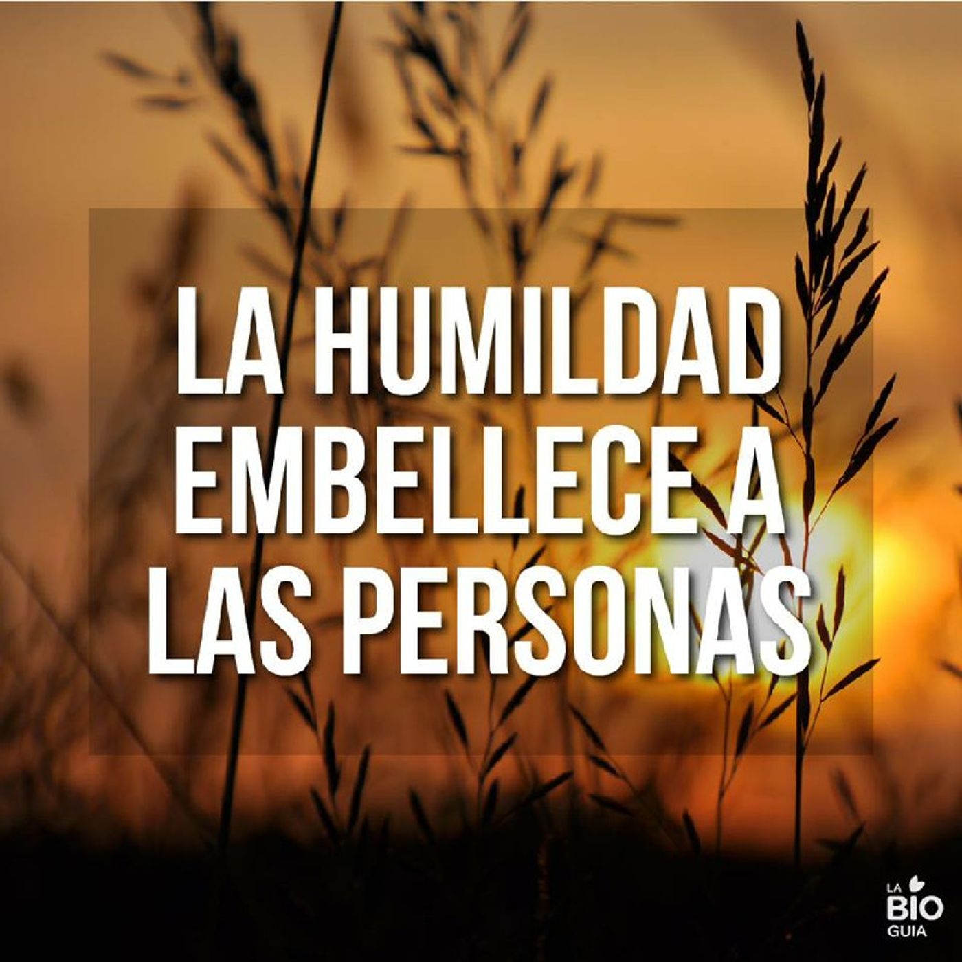 El Poder Del Evangelio de AProCristiano