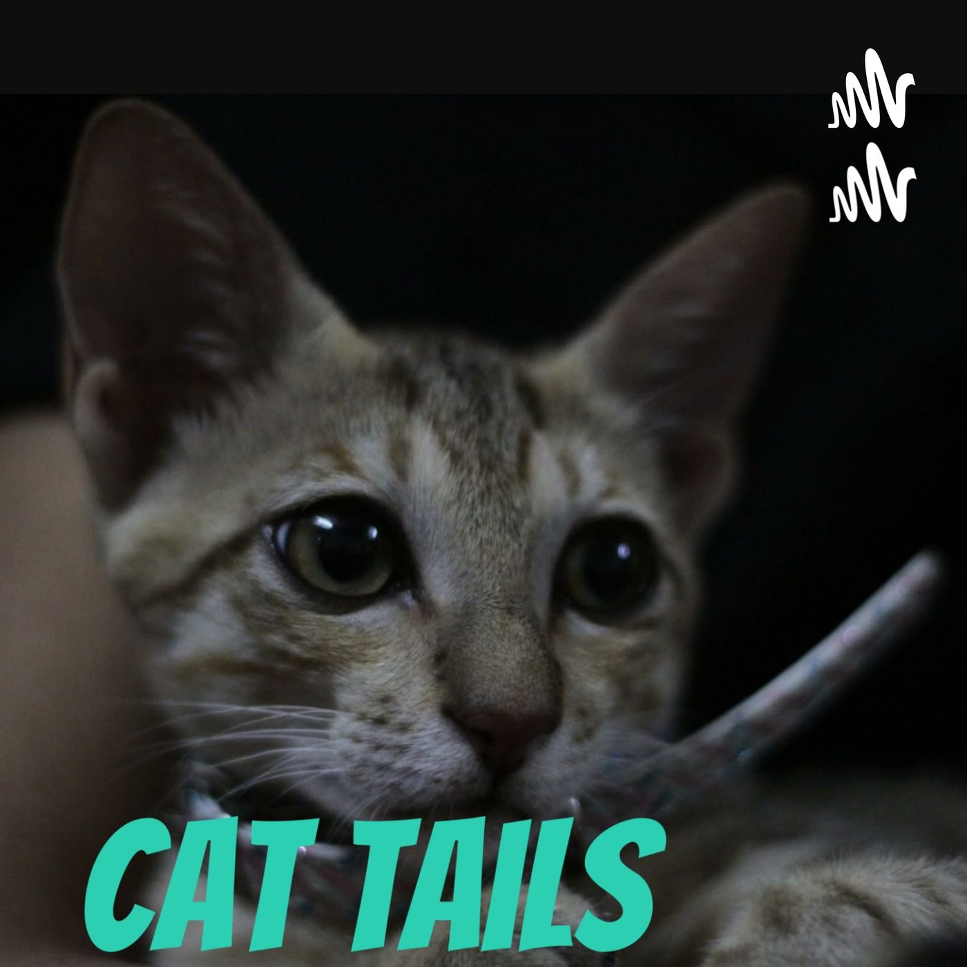 Cat Tails