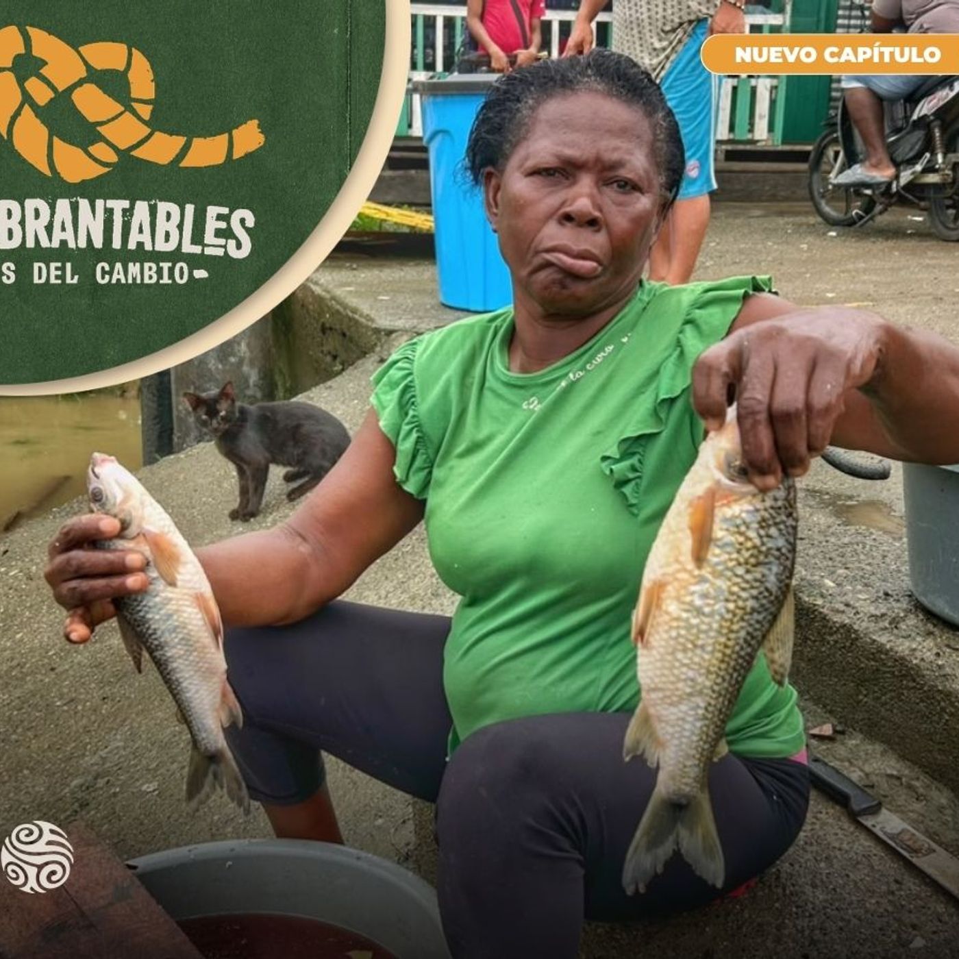 Inquebrantables - Entre escamas y esperanza: las arregladoras de pescado a orillas del Río Atrato episode artwork