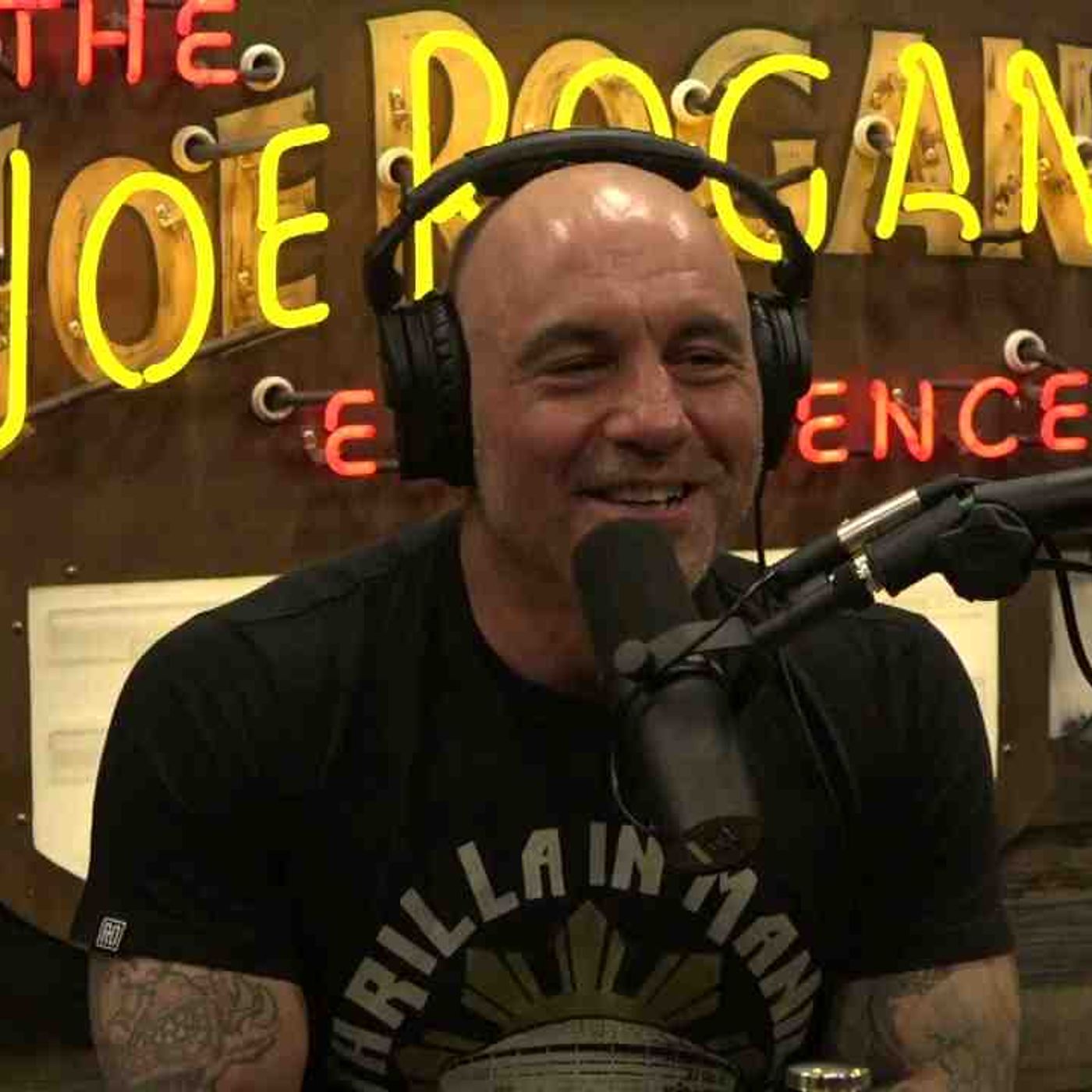 Joe T - Hypnotic Labs