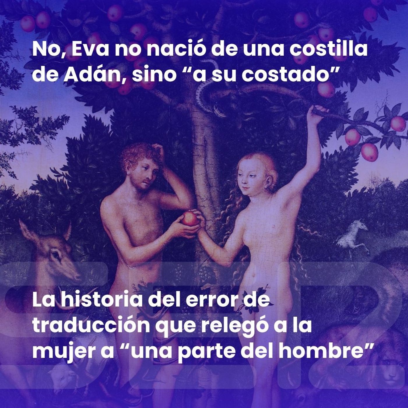 El rompeolas | La historia del error de traducción que relegó a la mujer a “una parte del hombre” episode artwork