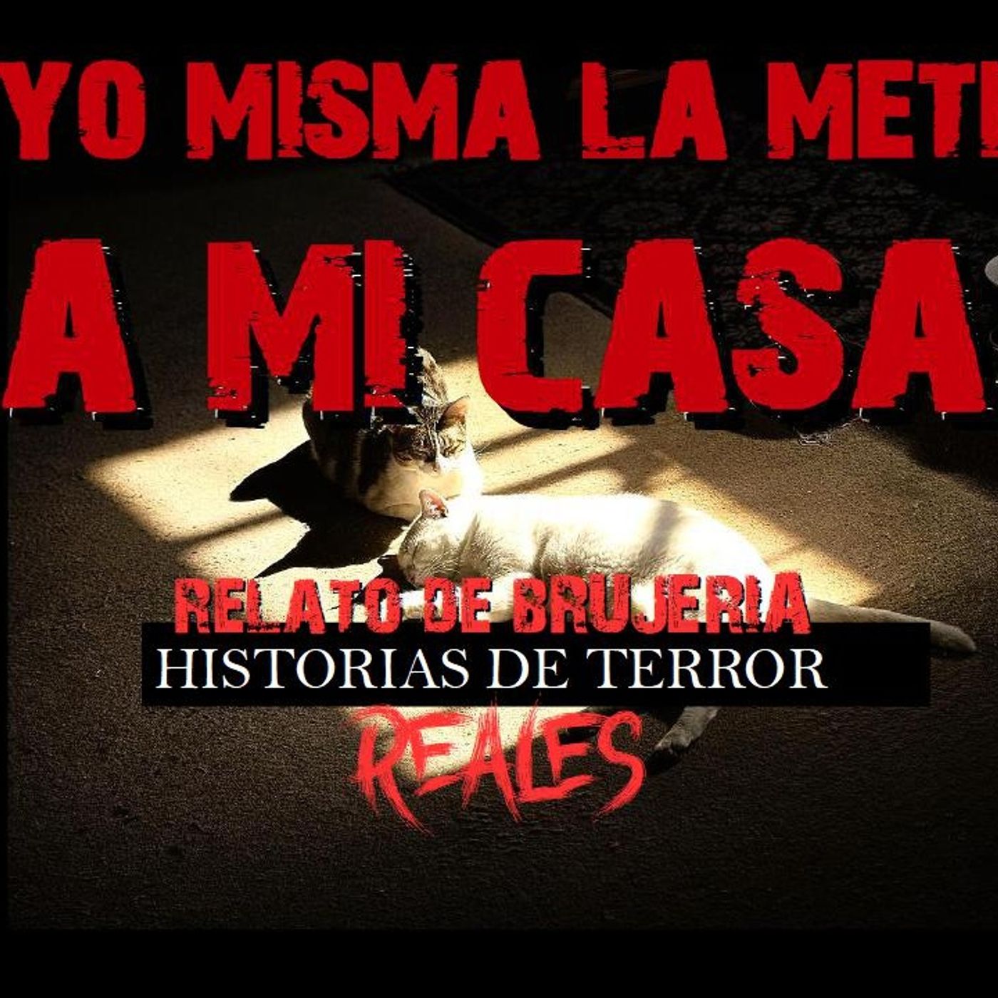 YO MISMA LA METí A MI CASA | RELATO DE BRUJERÍA | Historias de Terror Reales episode artwork