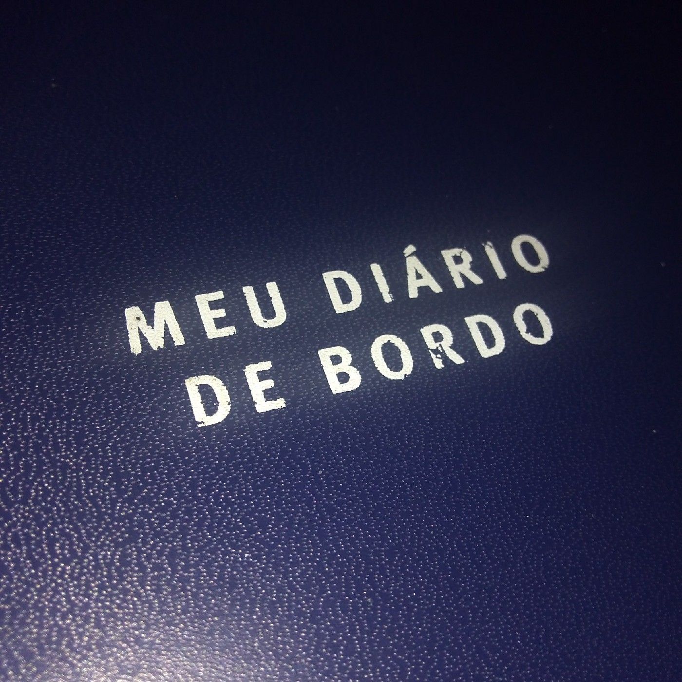 Meu Diário De Bordo