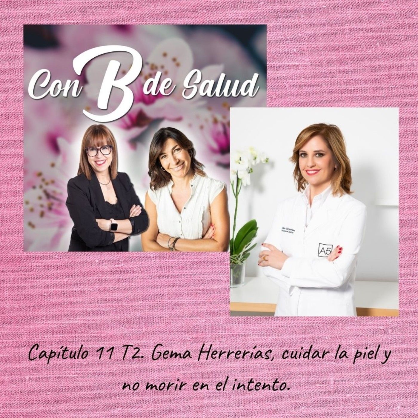 Capítulo 11 T2. Gema Herrerías, Cuidar la piel y no morir en el intento. episode artwork