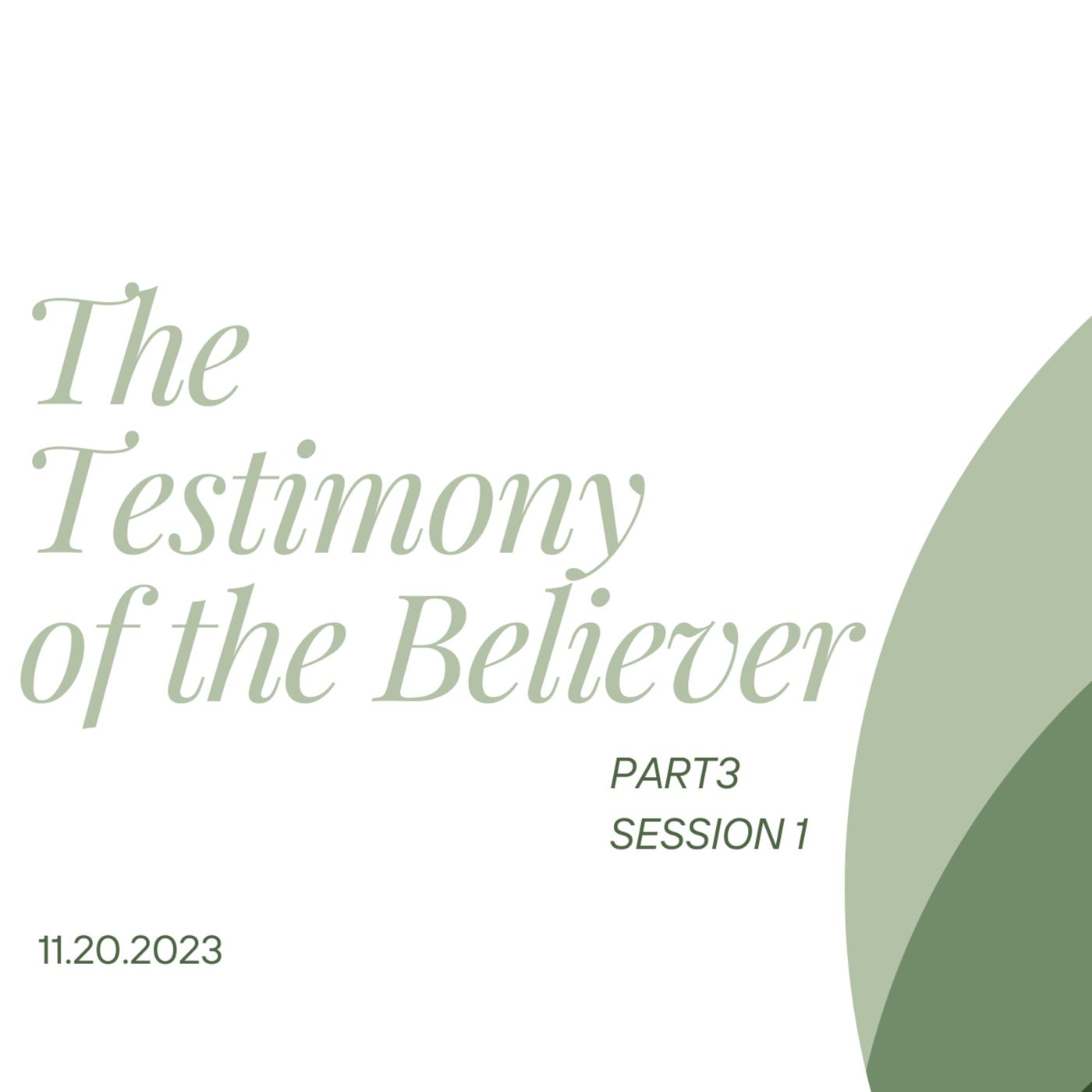 The Testimony Of The Believer Part 3 (Session 1) episode artwork
