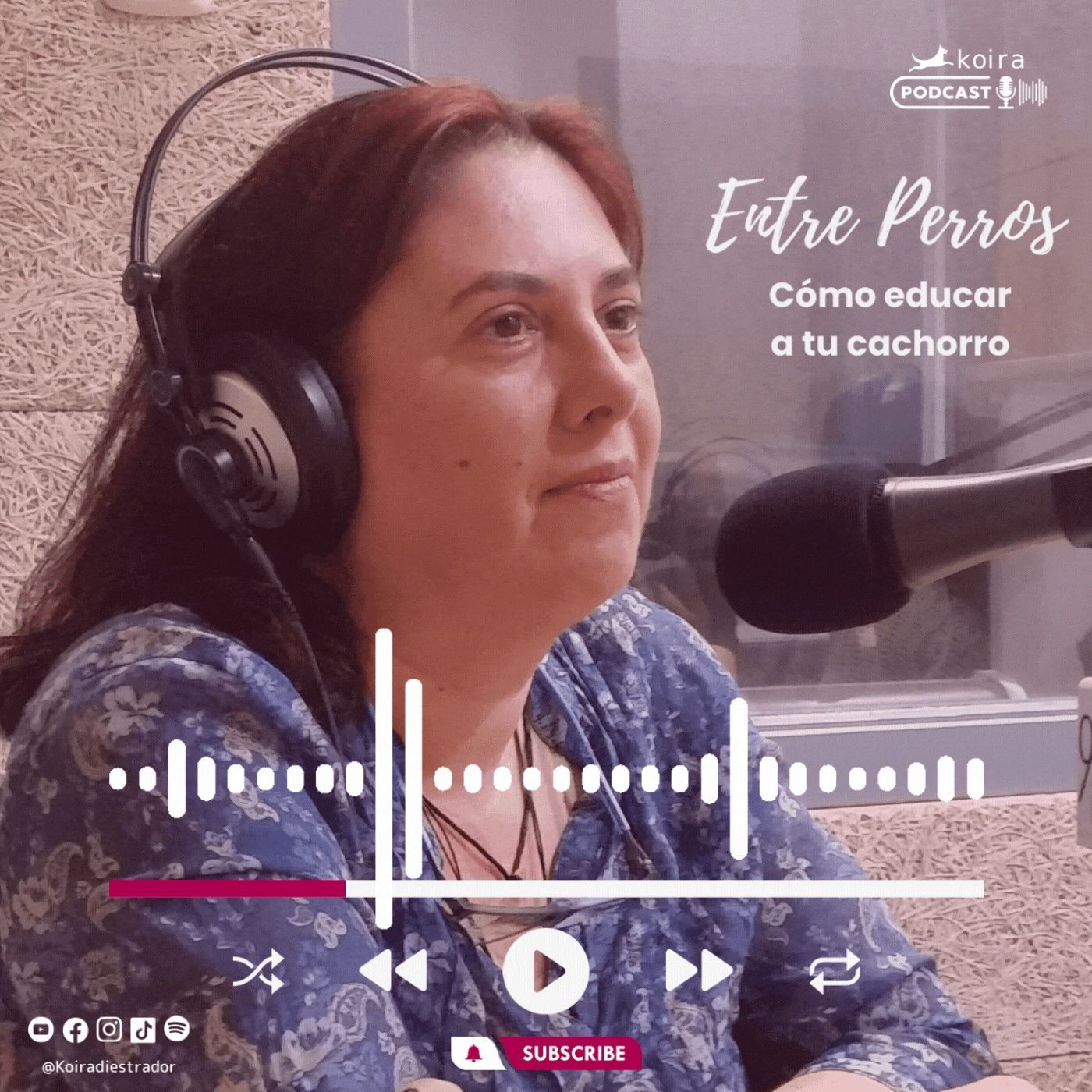KOIRAdiestrador | Entre perros