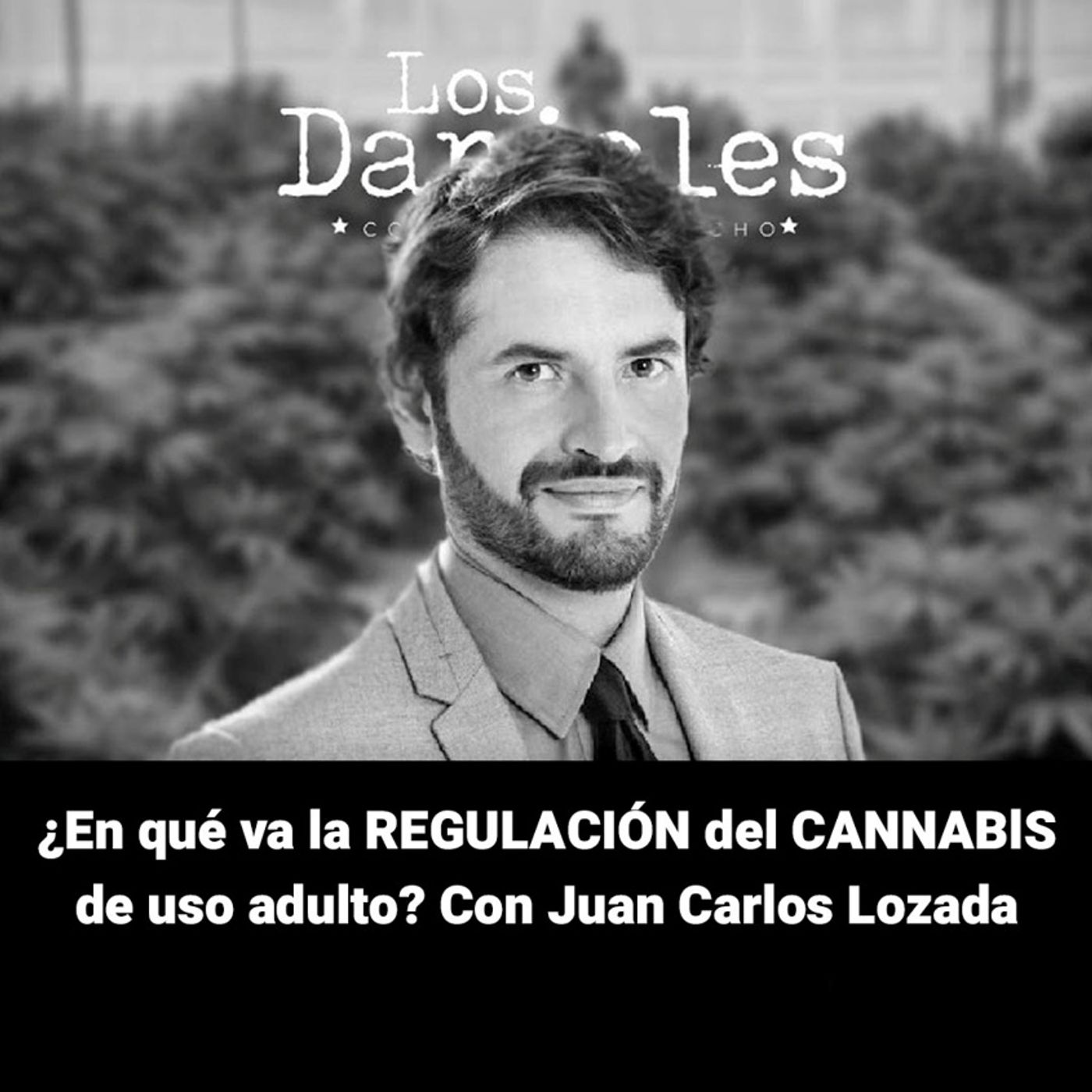 ¿En qué va la regulación del cannabis? | Daniela Maturana celebra el Día Afro episode artwork