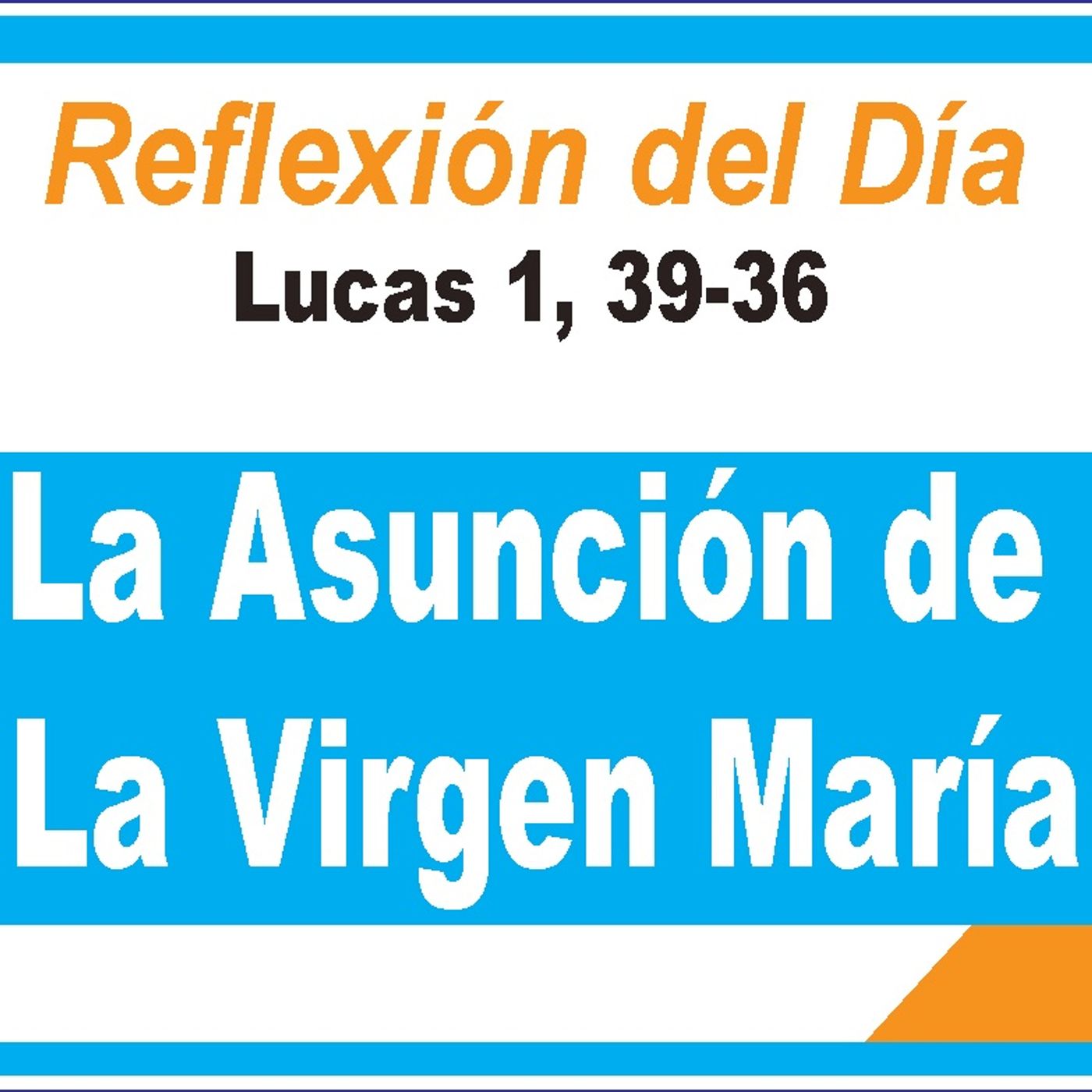 Reflexiones  del día