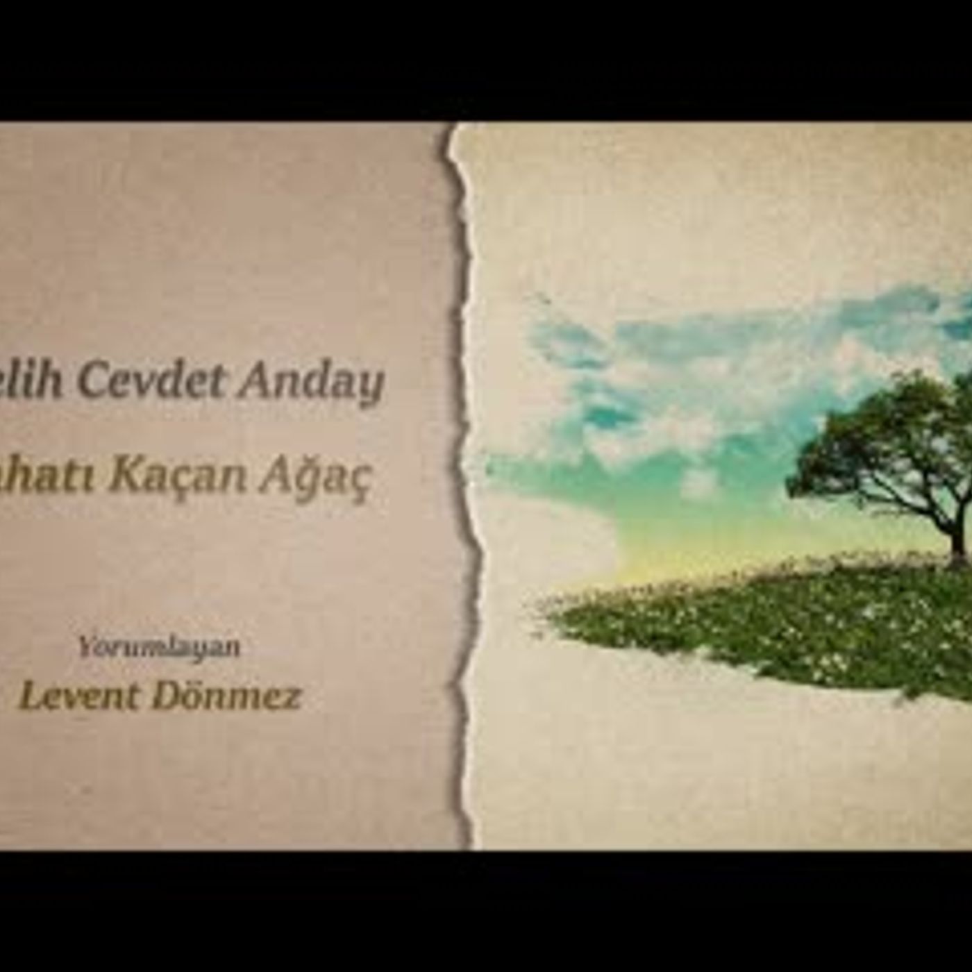 Melih Cevdet Anday   The Disturbed Tree
