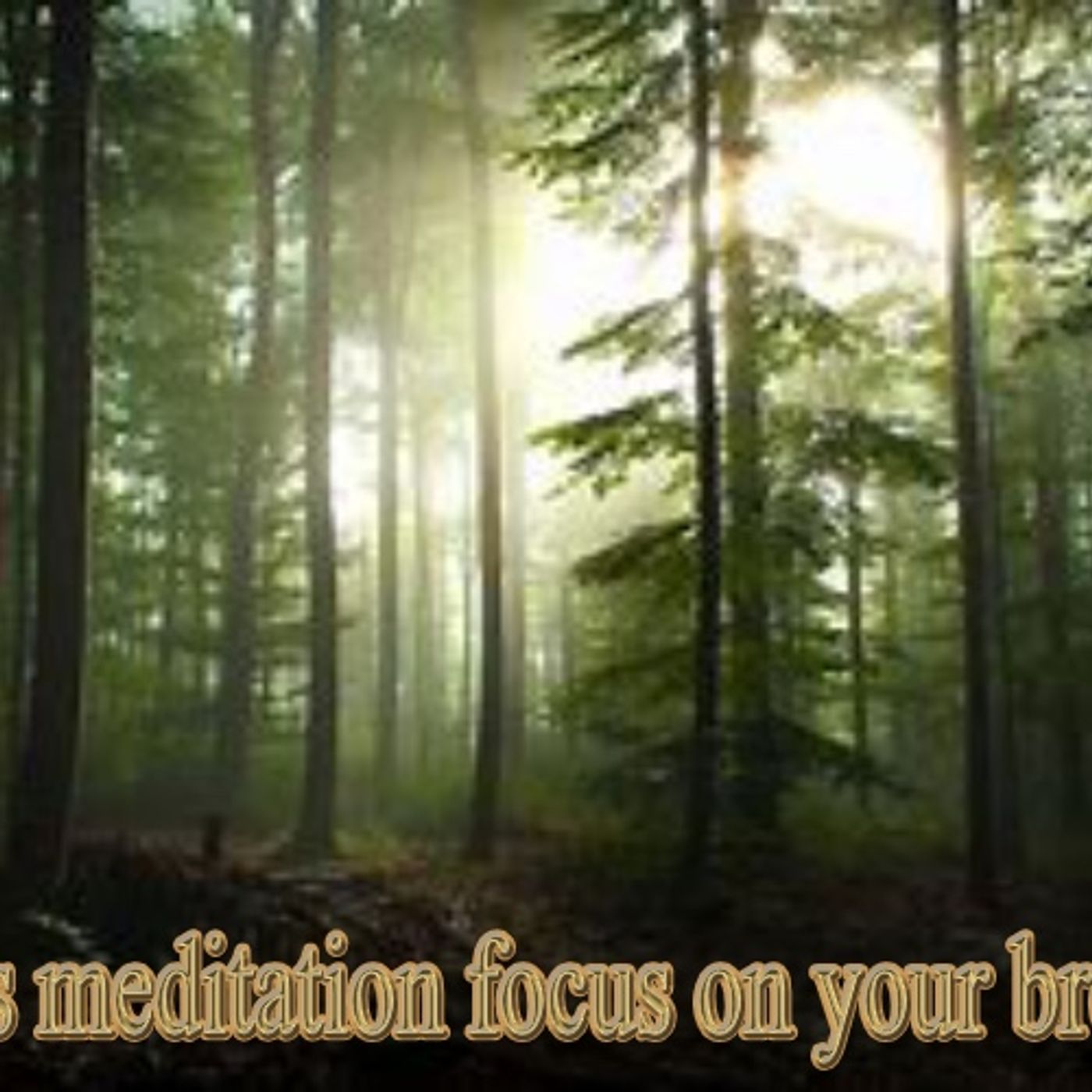 Meditation Music-Ambient Sounds- 20 Minutes